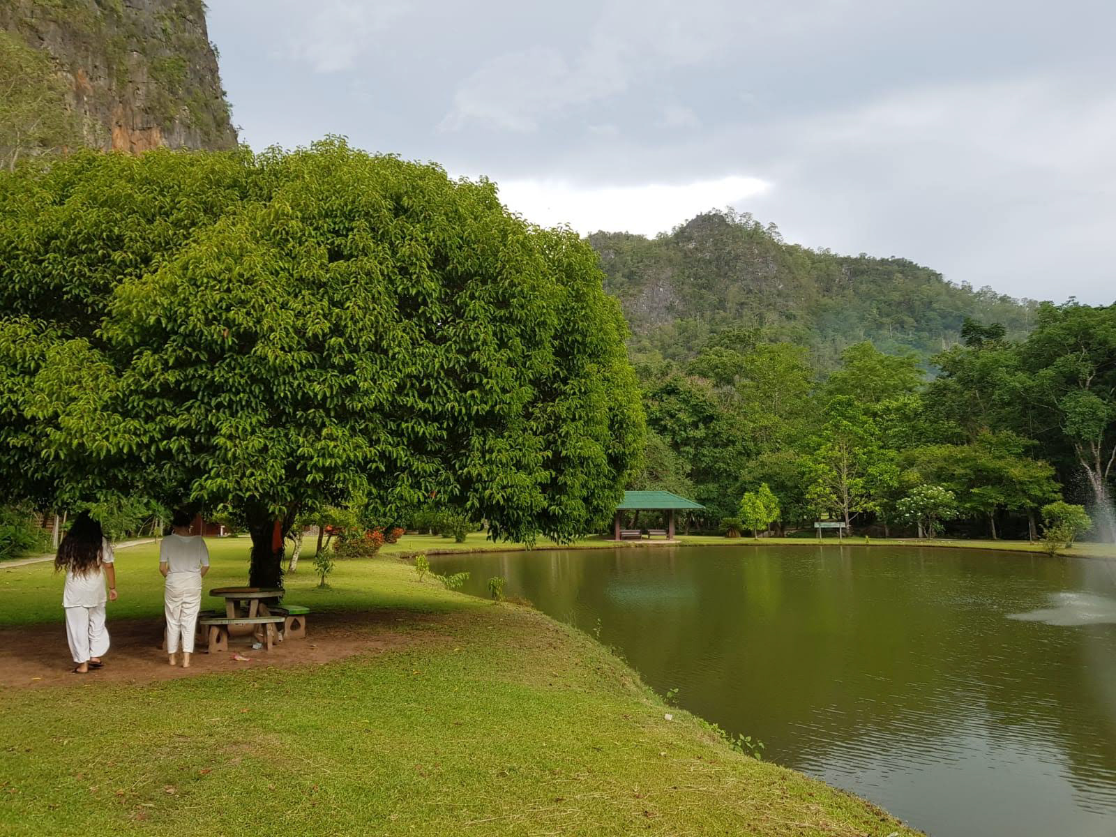 Yoga and Meditation Connects us to our inner nature