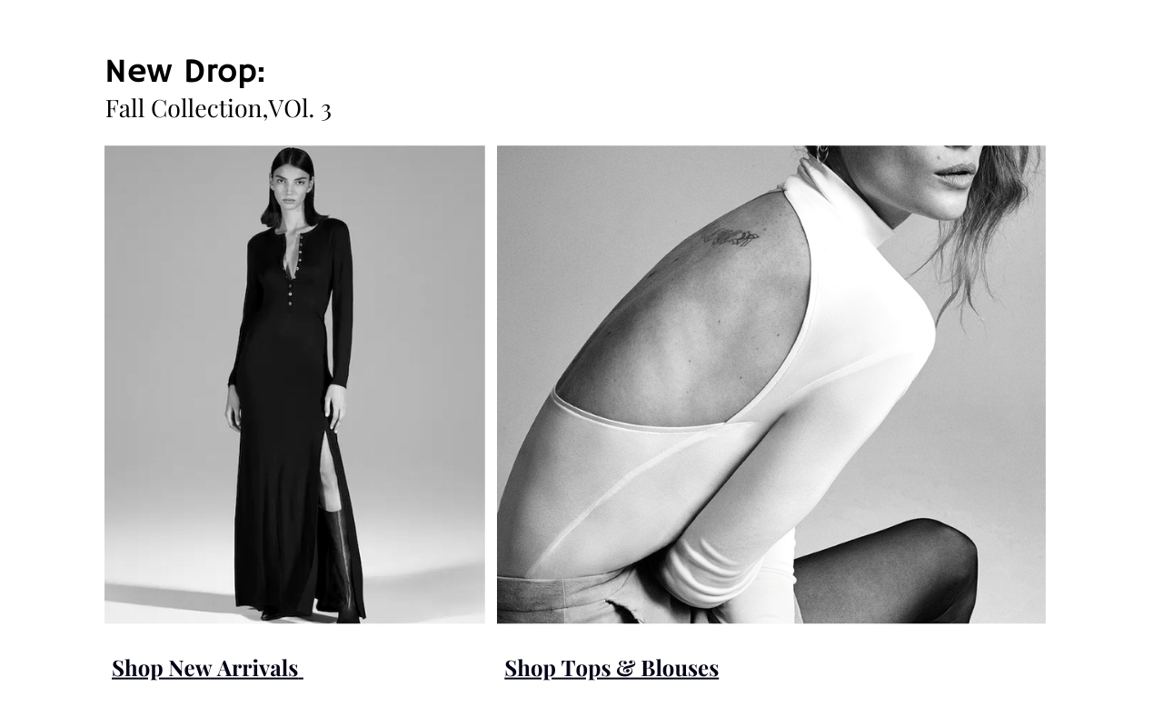 Ecommerce Web Design Page 2