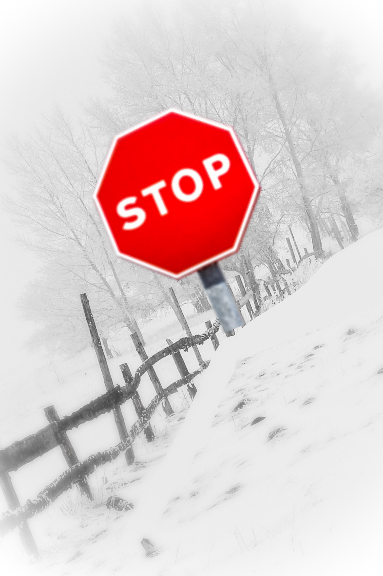 Artwork/Social Media Post