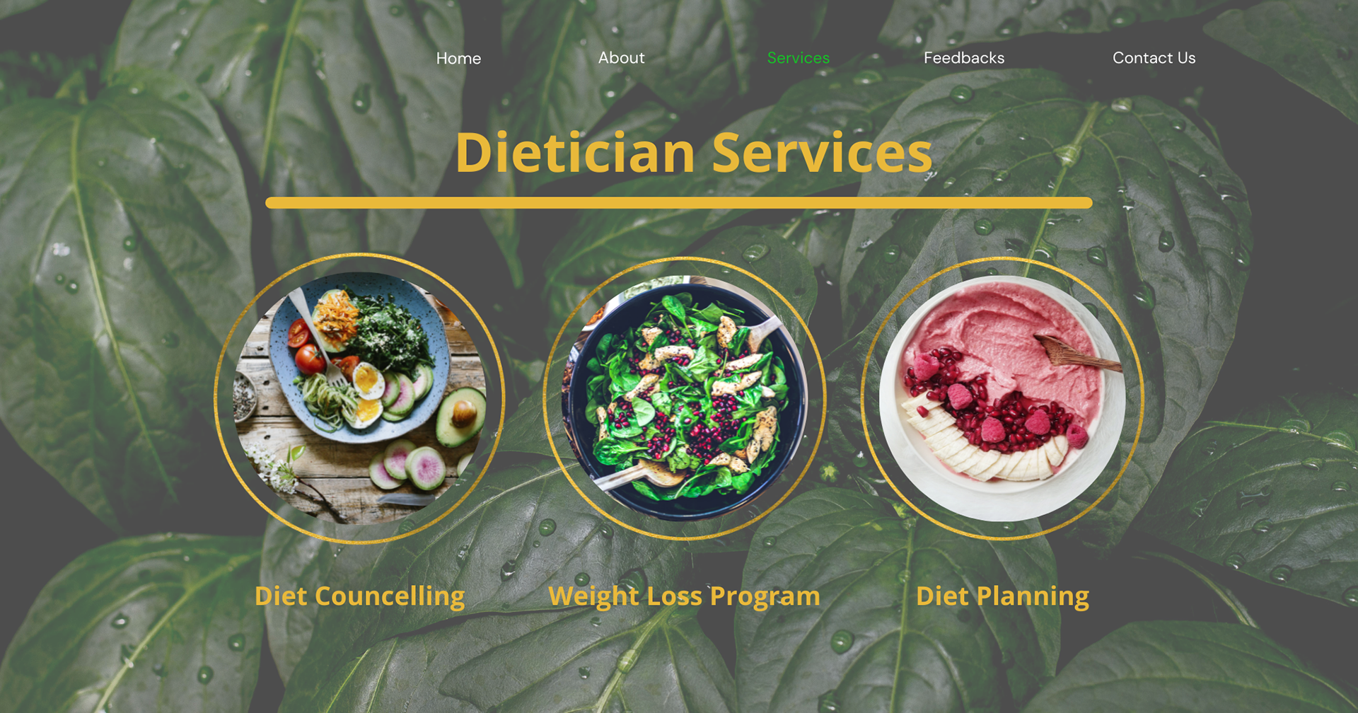 Page 3 Services of Dietician Website