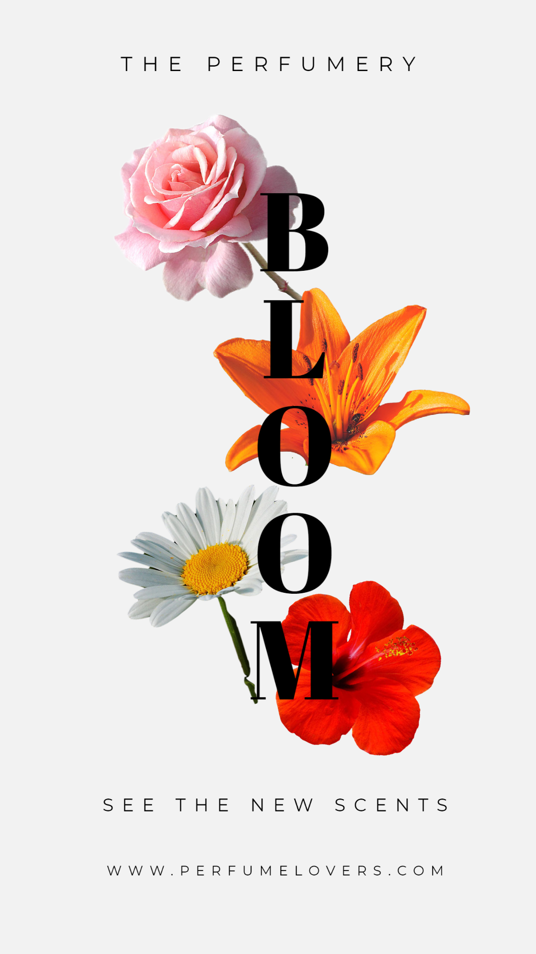 Social Media Ad /Poster Design