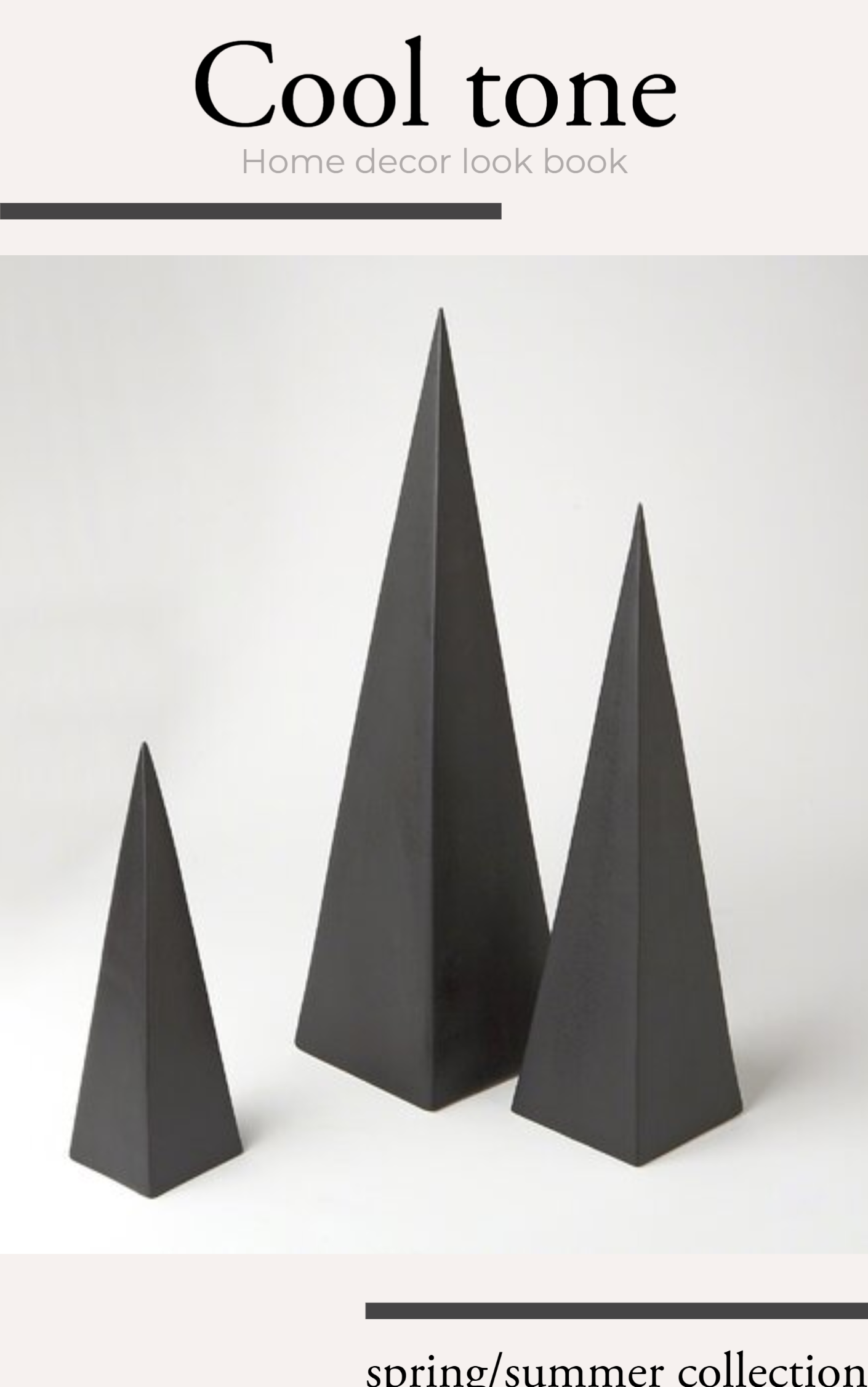 Social Media Ad/Post