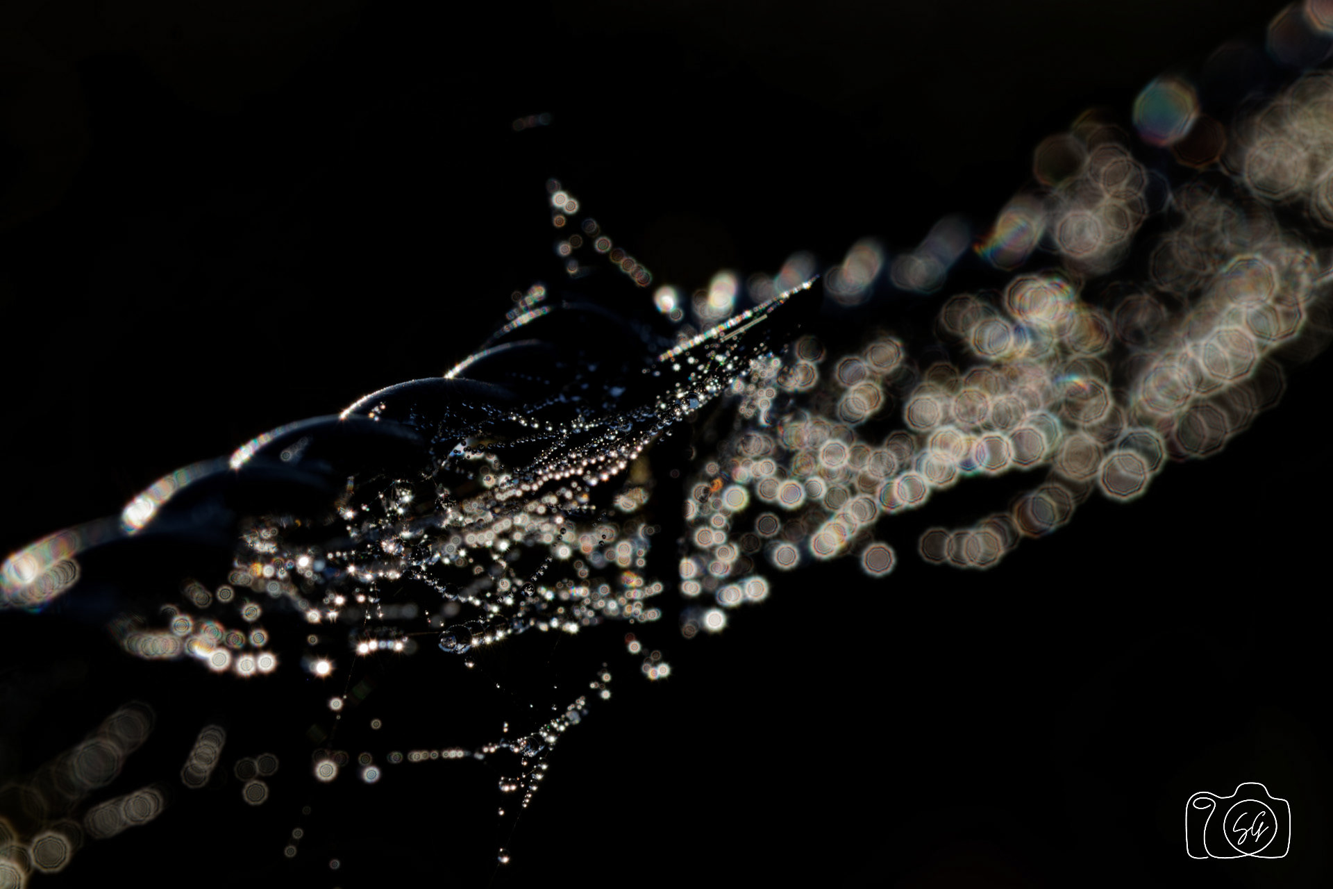 Canon 77D - 105mm - f/14 - 1/200s - ISO 100