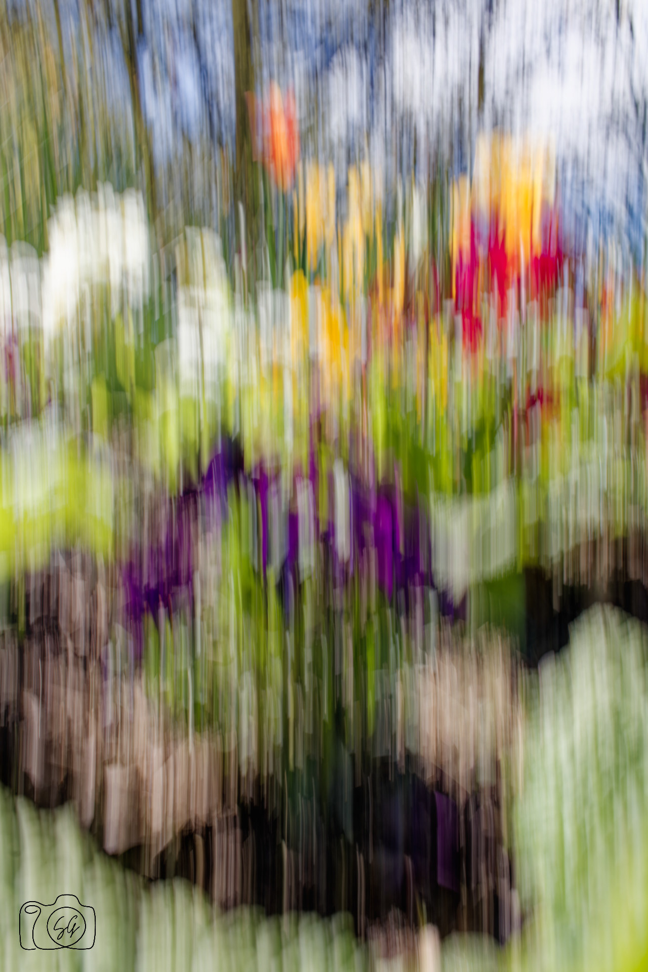 Canon 77D - 24mm - f/22 - 1/10s - ISO 100