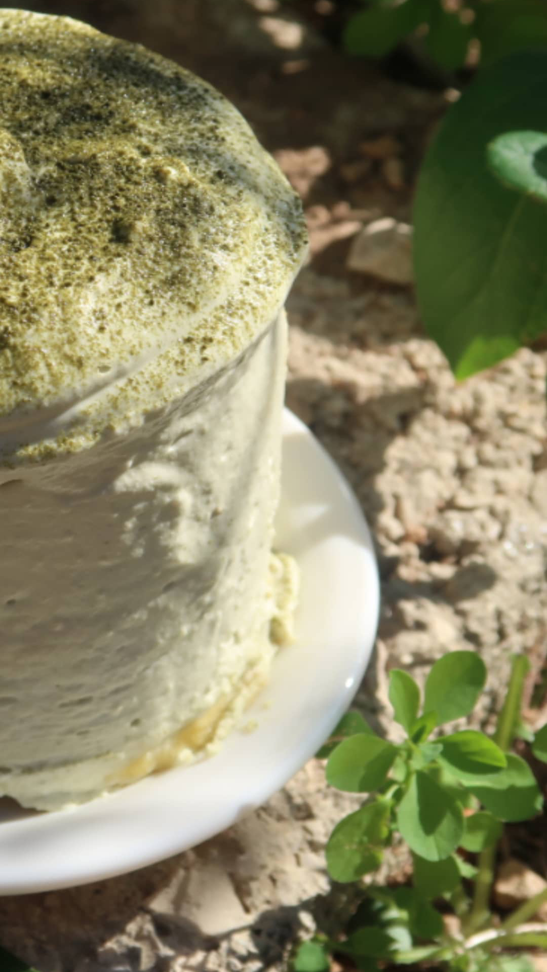 Bento cake au matcha homemade