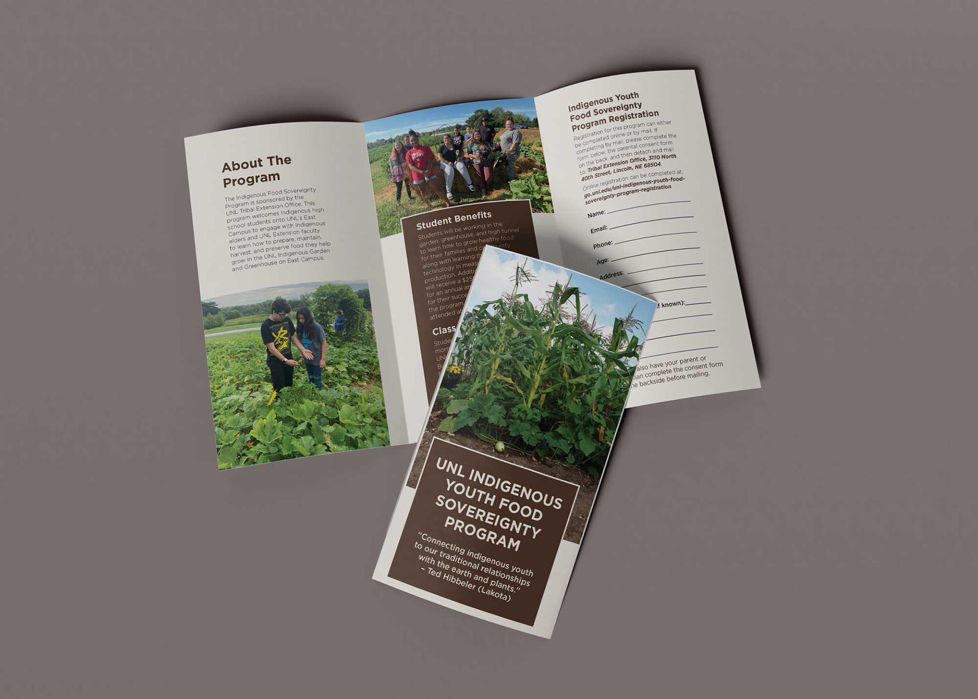 Brochure