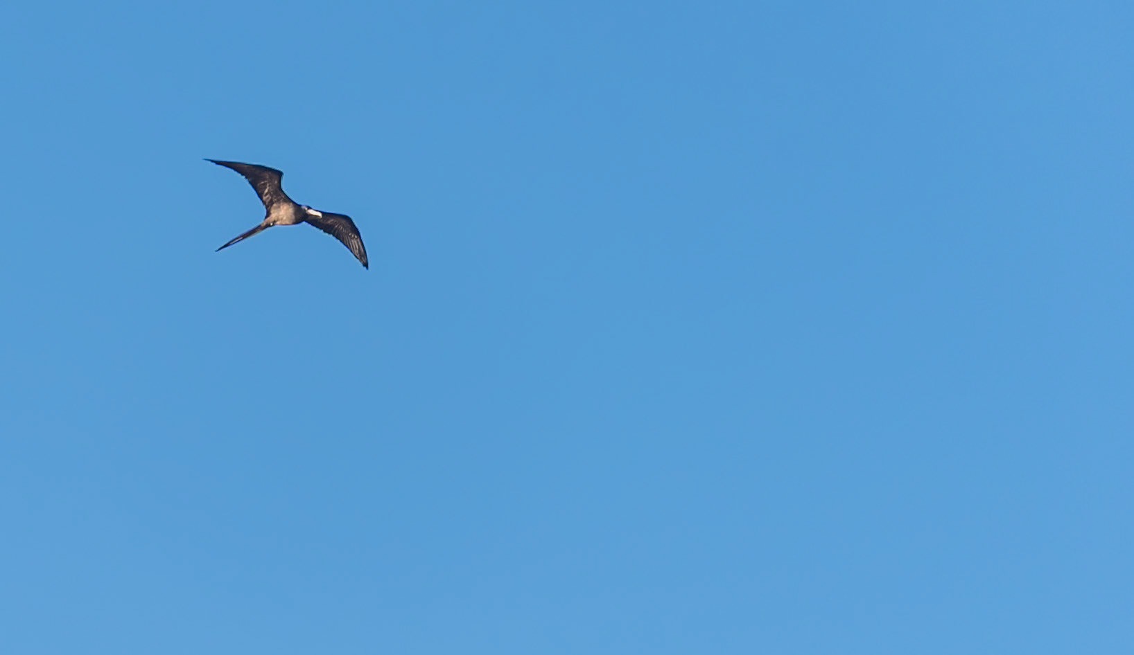 Galapagos Islands