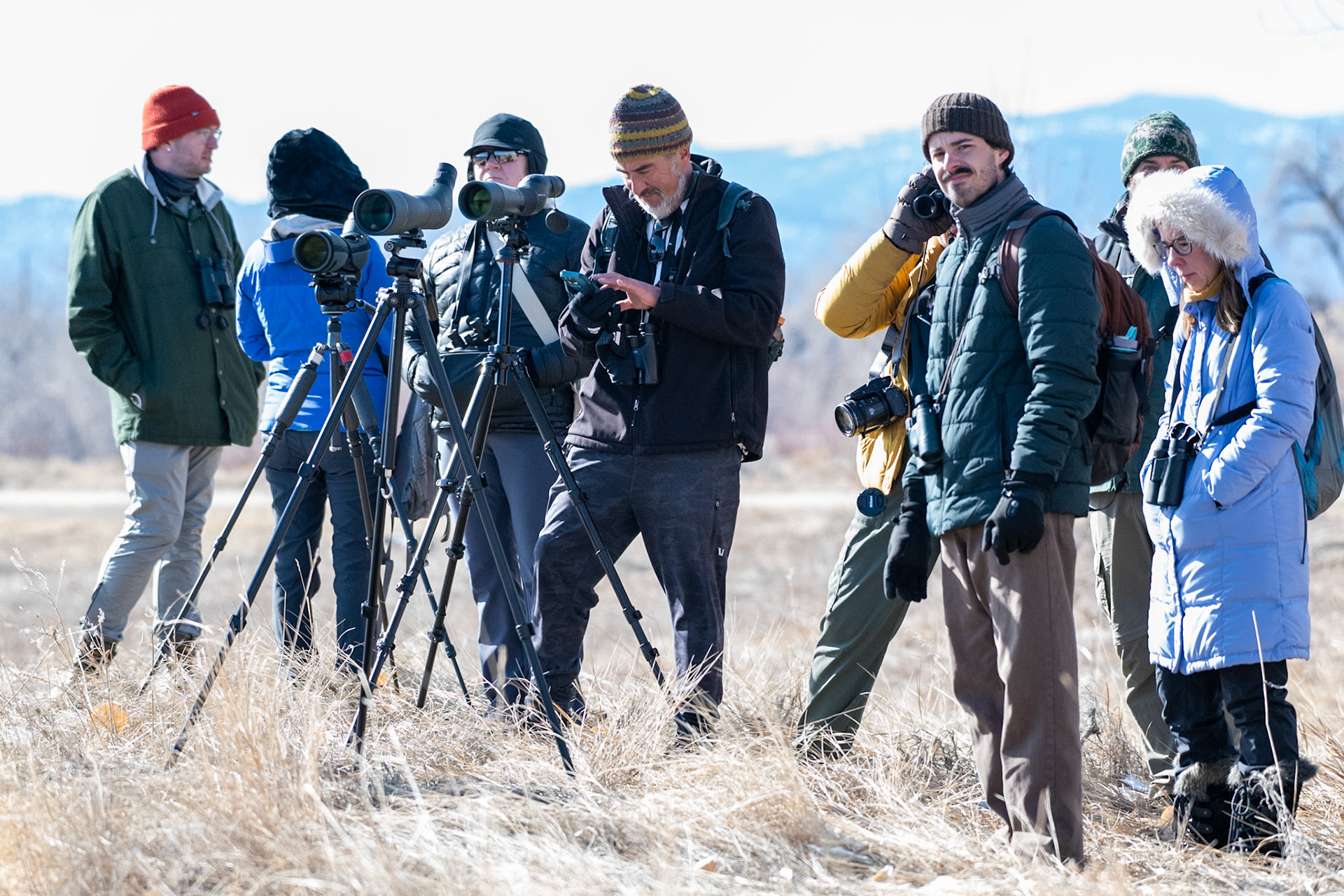 The Motely Superbowl Birding Crew