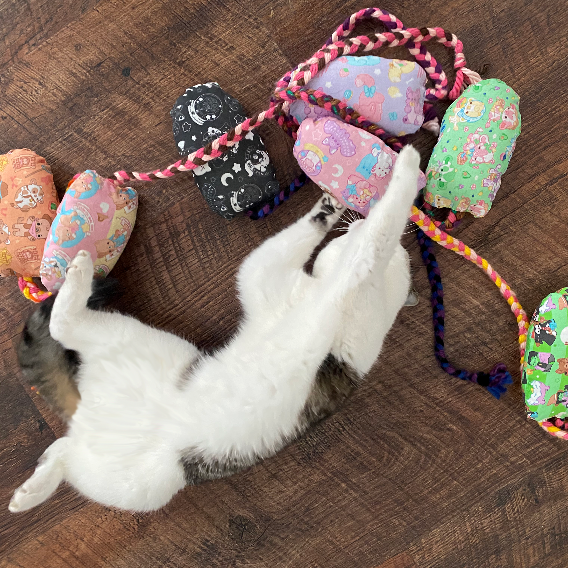 Taco Cat Creations Cat Toy Collab