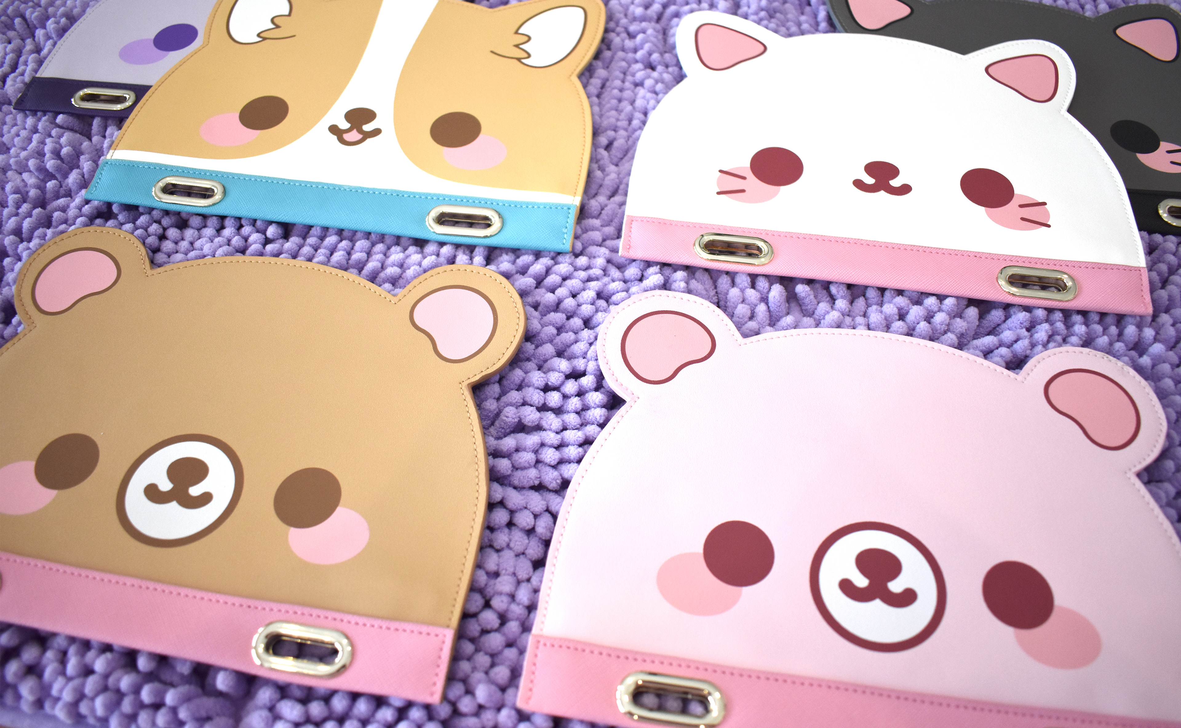 Folio Bags