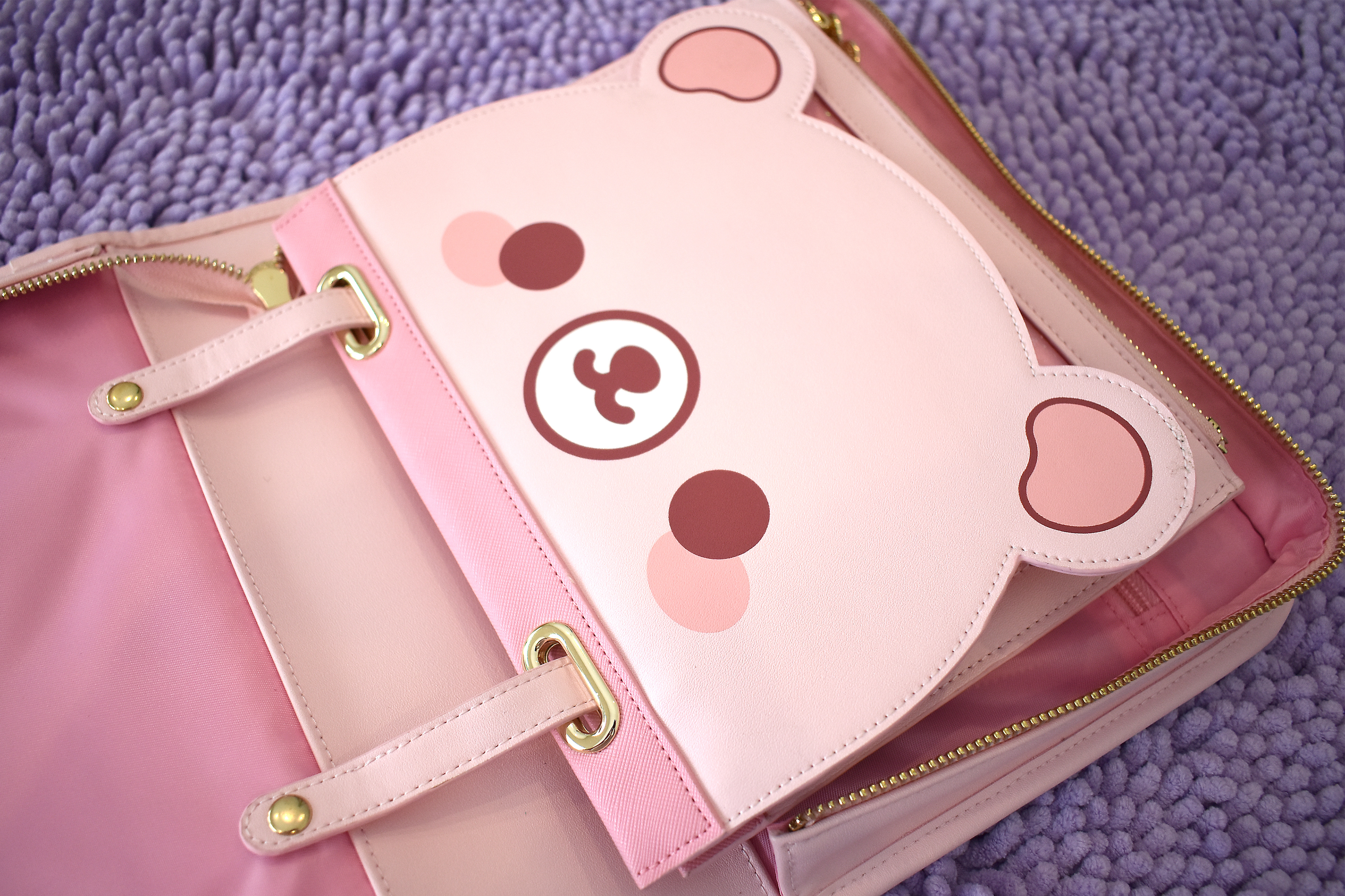 Folio Bags