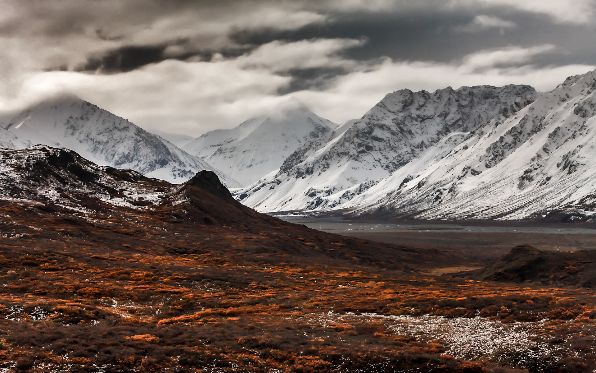 Fall in Denali Park