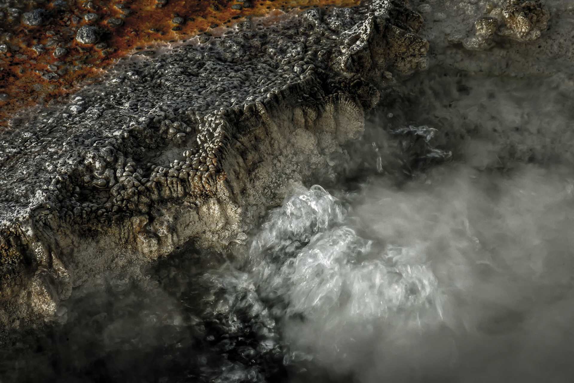 #Yellowstone Abstracts