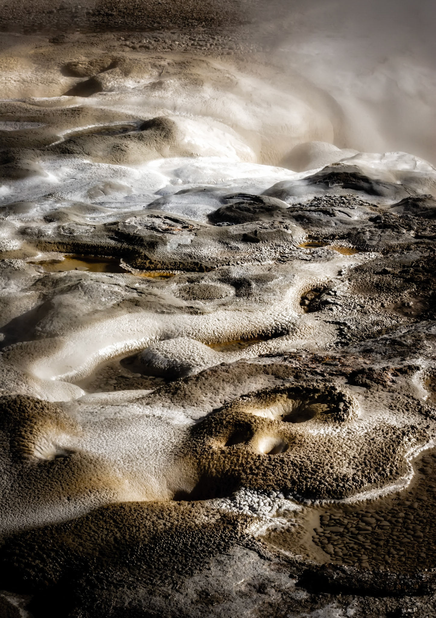 #Yellowstone Abstracts