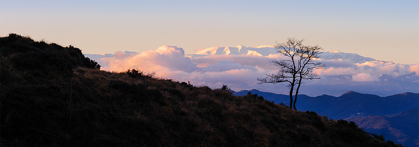 Pyrenees, Spain, 2015.