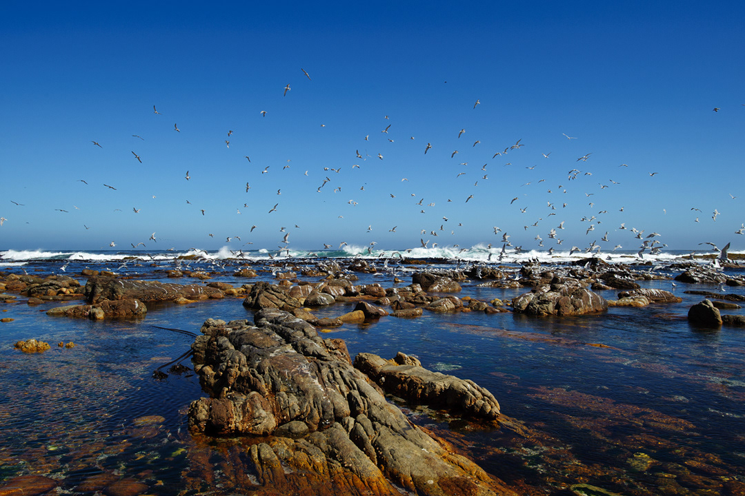 Cape of Good Hope, South Africa, 2013.