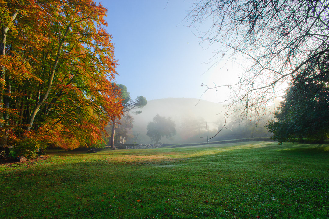 La Fageda d'en Jordà, Spain, 2010.