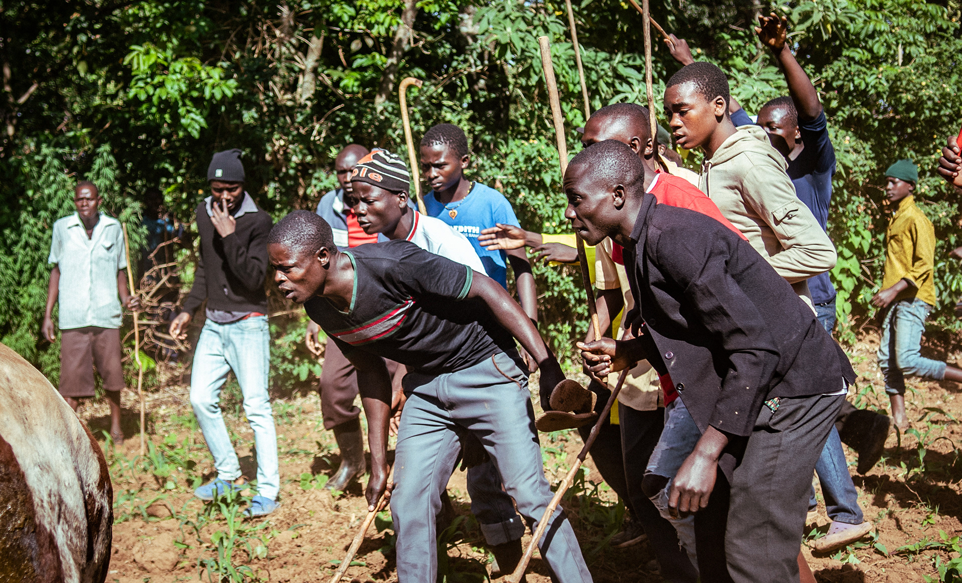 Participants and spectators circle the competitors and cheer on their preferred animal, creating an atmosphere more akin to a fight club. Despite objections from some animal rights activists, proponents of the sport say it is an important economic activity and part of the Luhya cultural heritage.