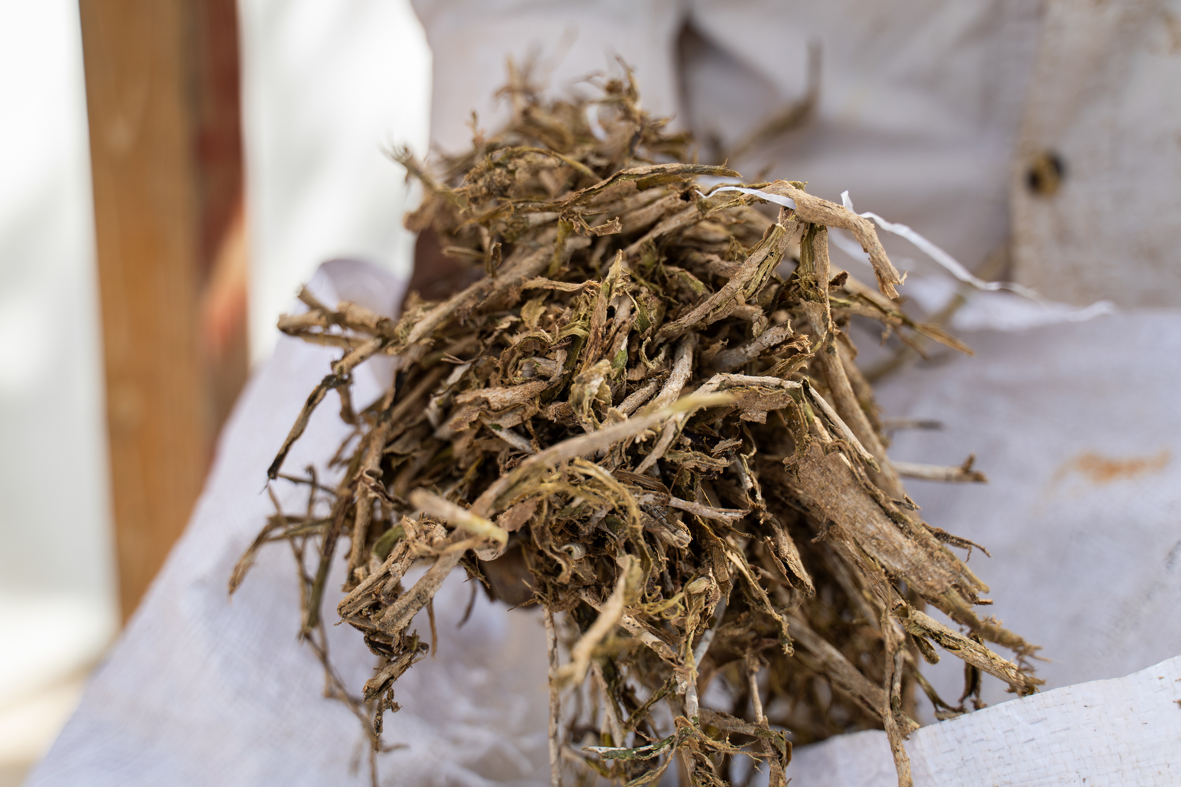 Dried bark is bagged and sold on to the global supply chain, where it’s unique flavor compounds and oils are used in everything from perfumes to medicine.