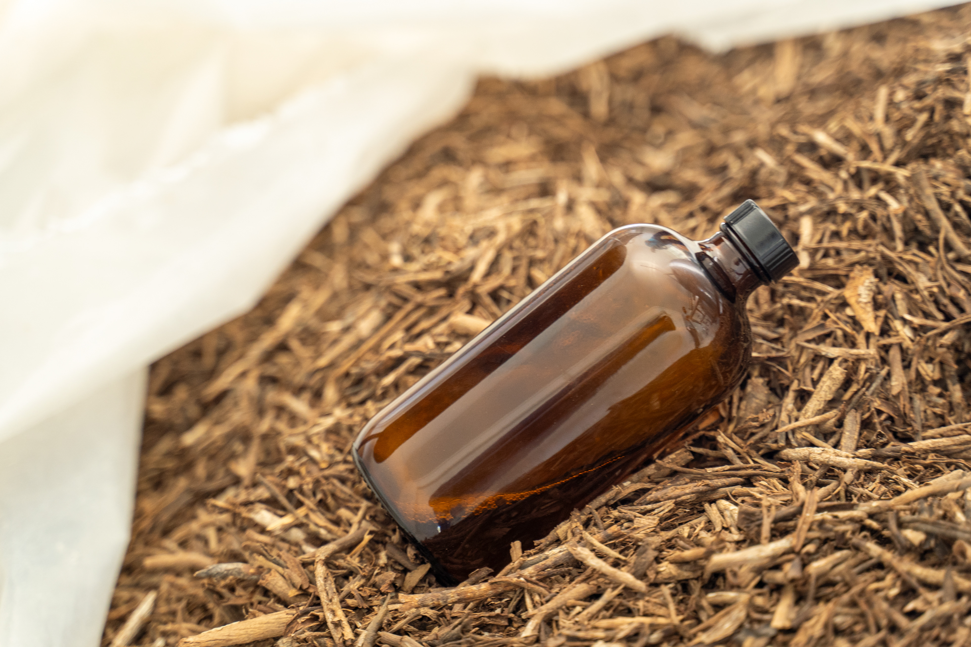 "It’s important to plan for the long term,” reflected Williamson, who is turning his attention more toward the sound management of Cascarilla than its harvesting. “We have to do right from the outset. At the end of the day, the whole island will benefit.”  