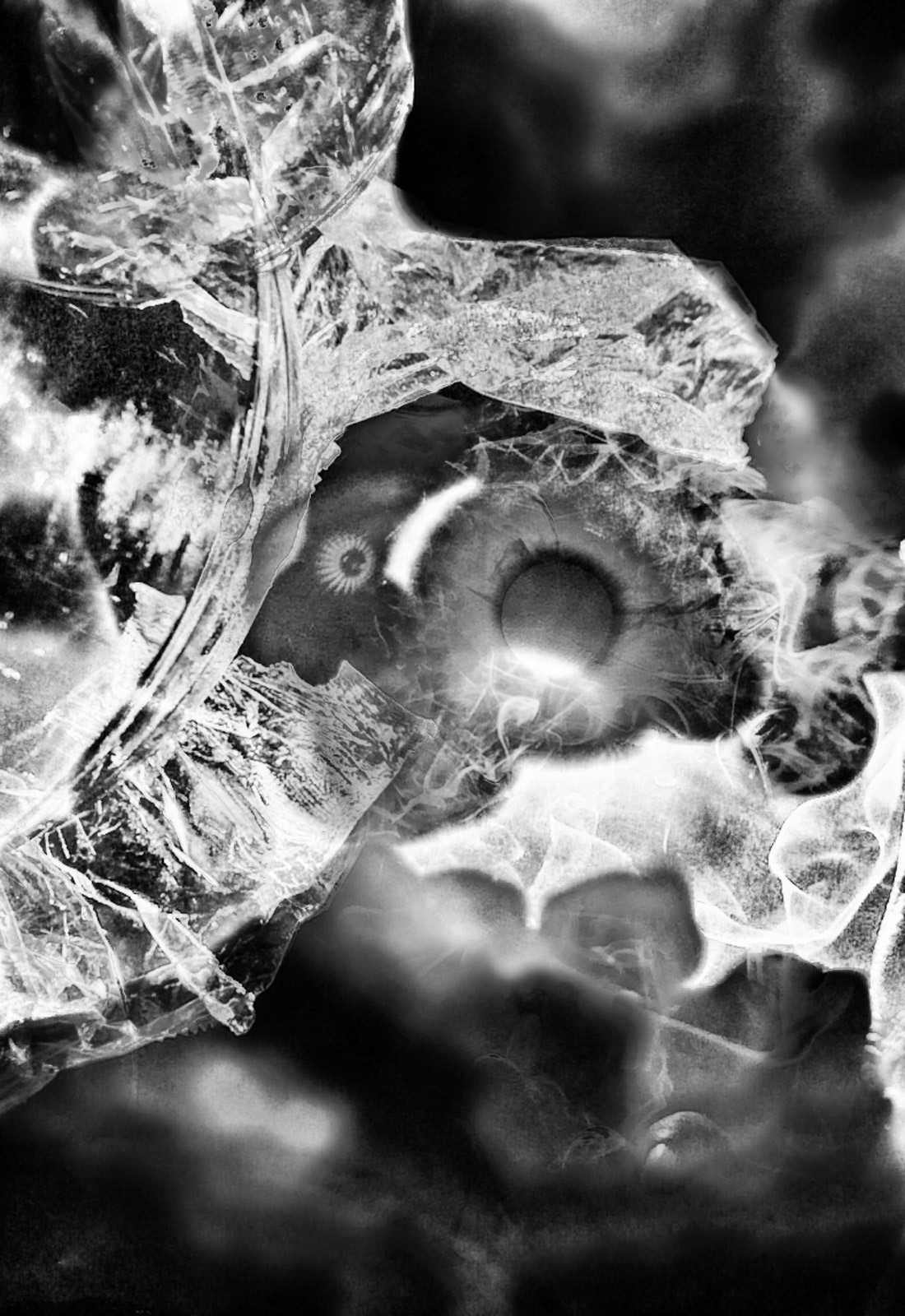 Memento Mori - Photographie Numérique Collage par détournement de logiciel - France - 2016