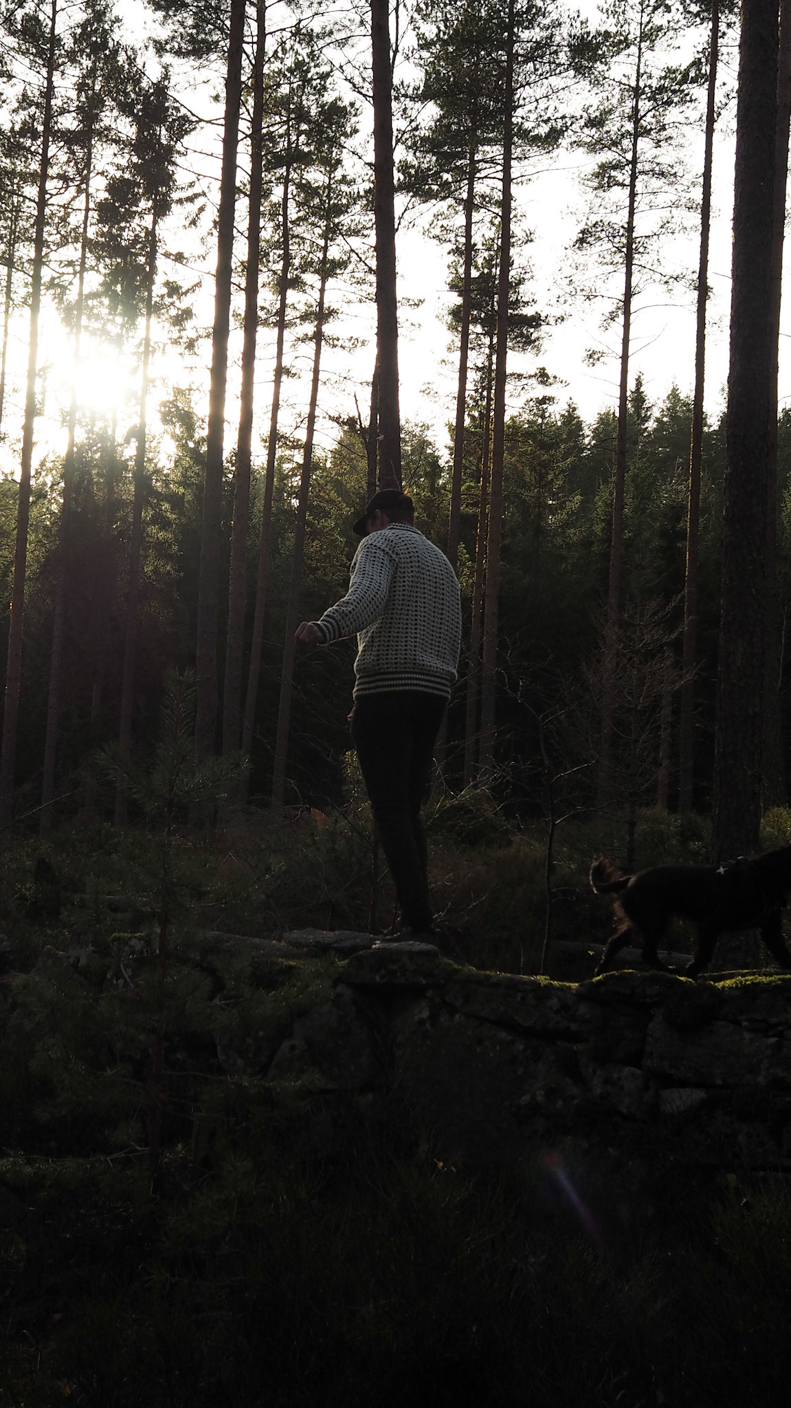 Trønder i motsol