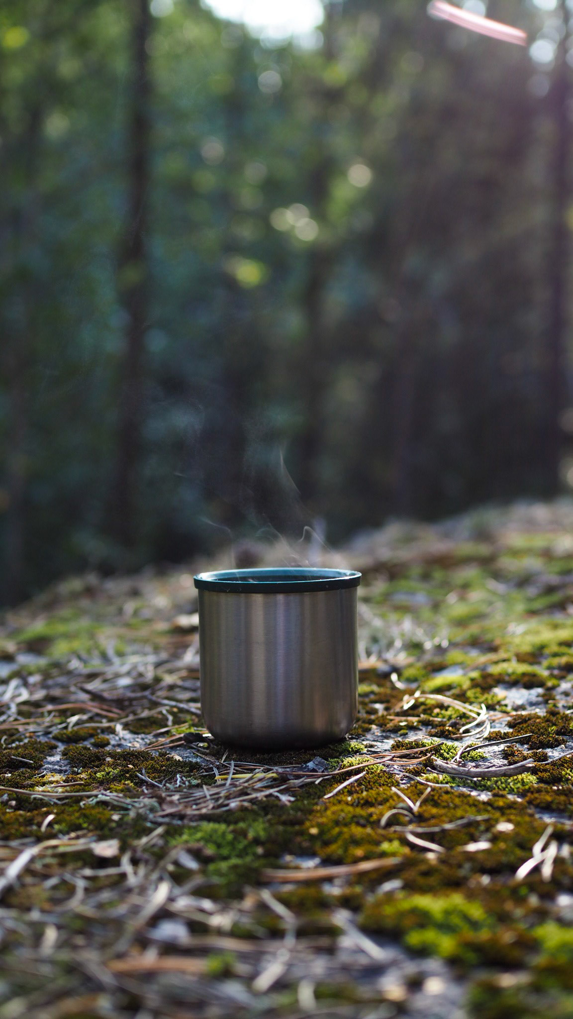 En pause i skogen