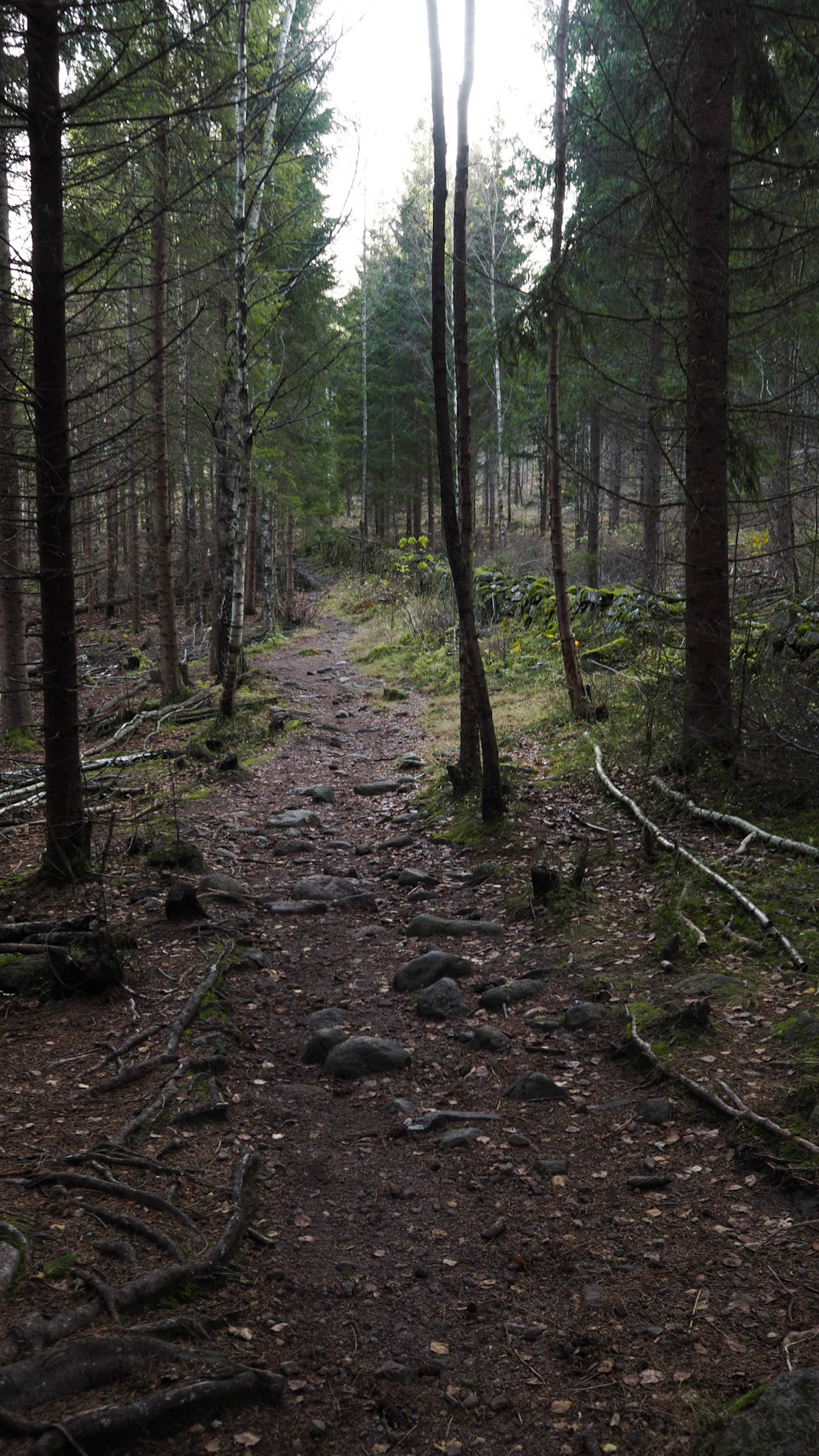 Søndagstur