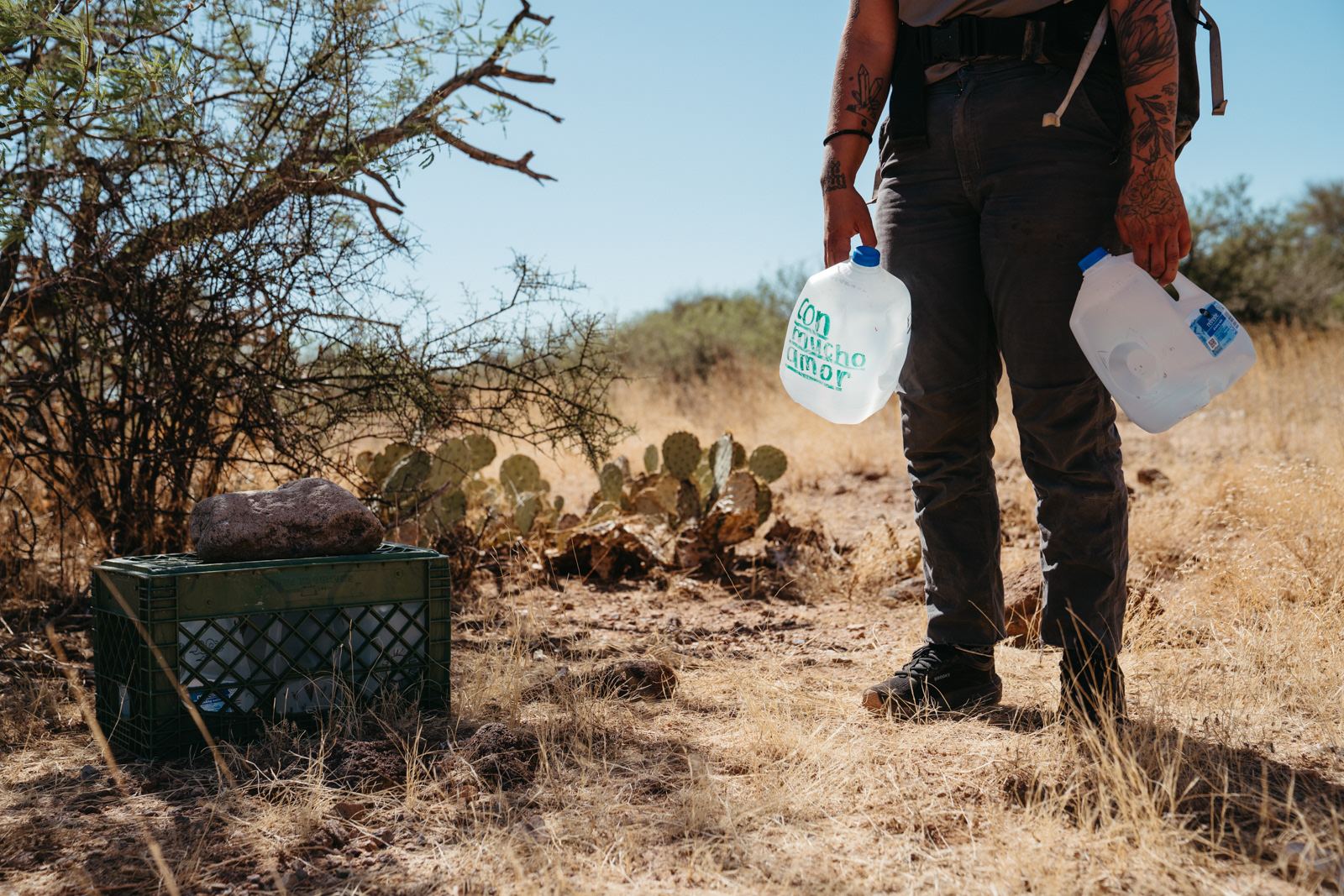 Volunteers hiked miles through the desert.
