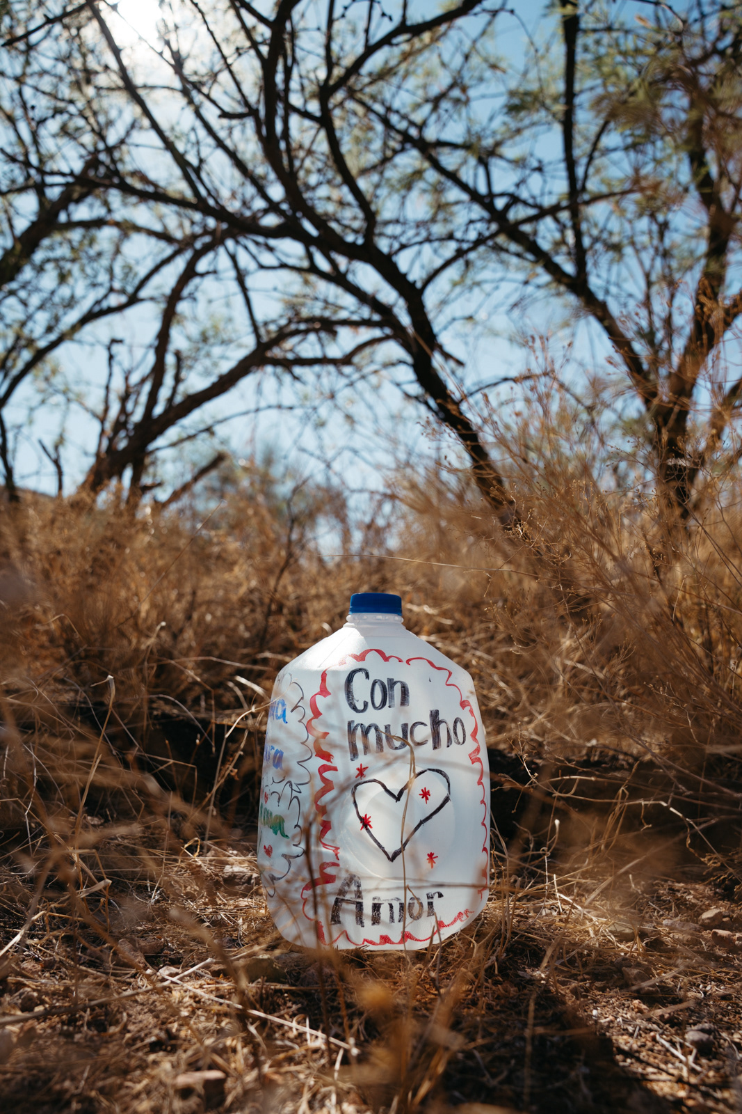 Gallons of water and canned food left under the shade of a tree.