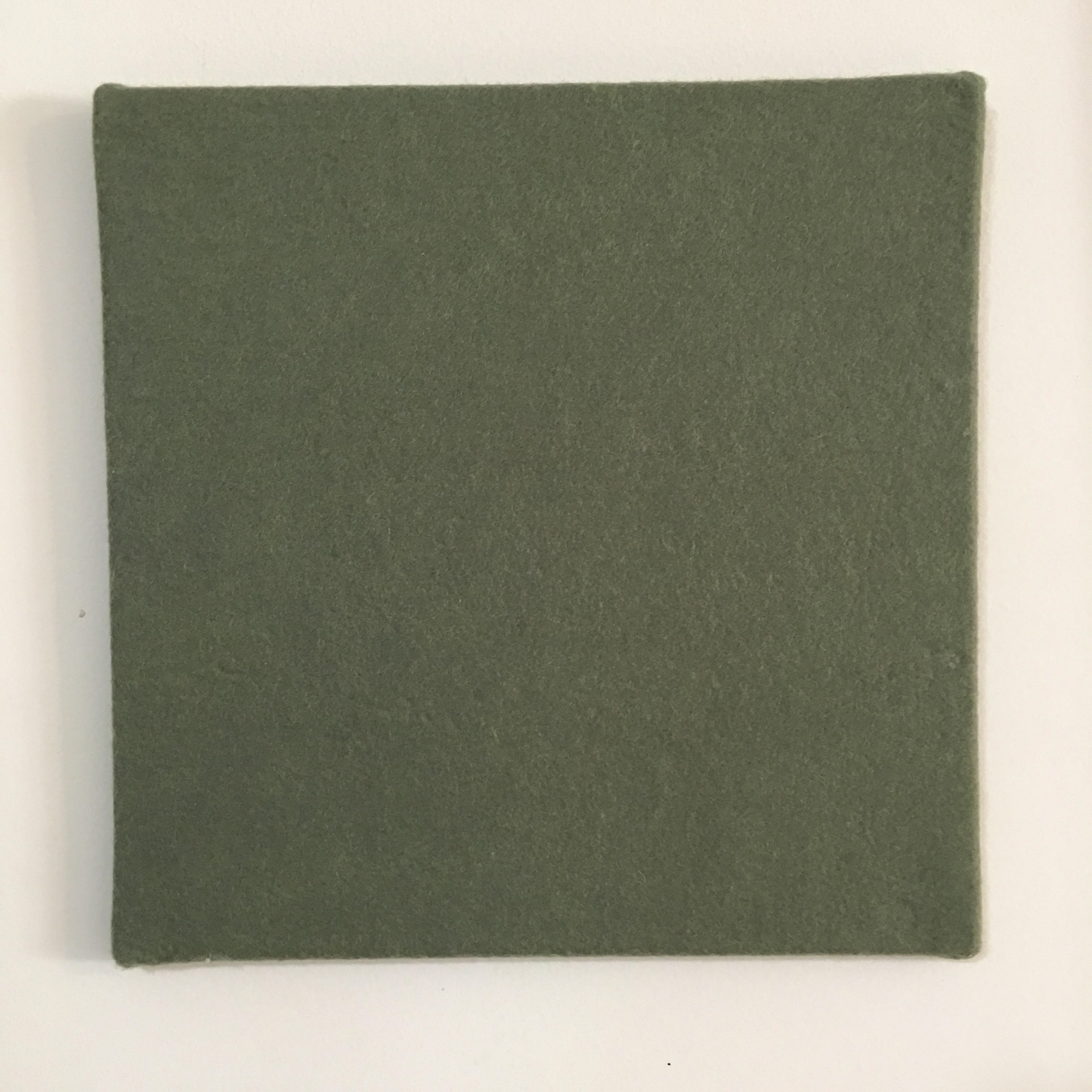 Wool - represents Army Issue blankets at basic training