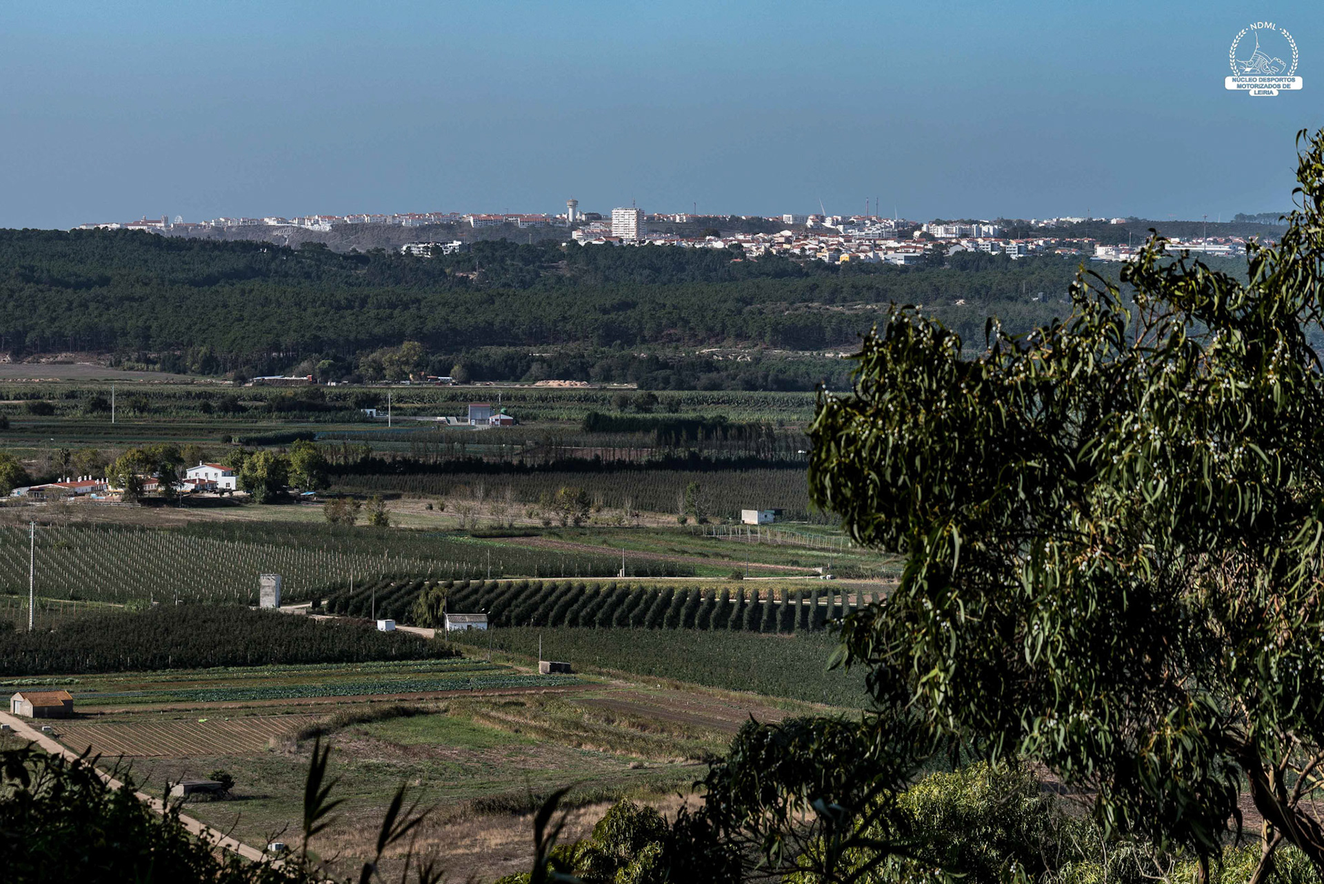 © Copyright uso não autorizado