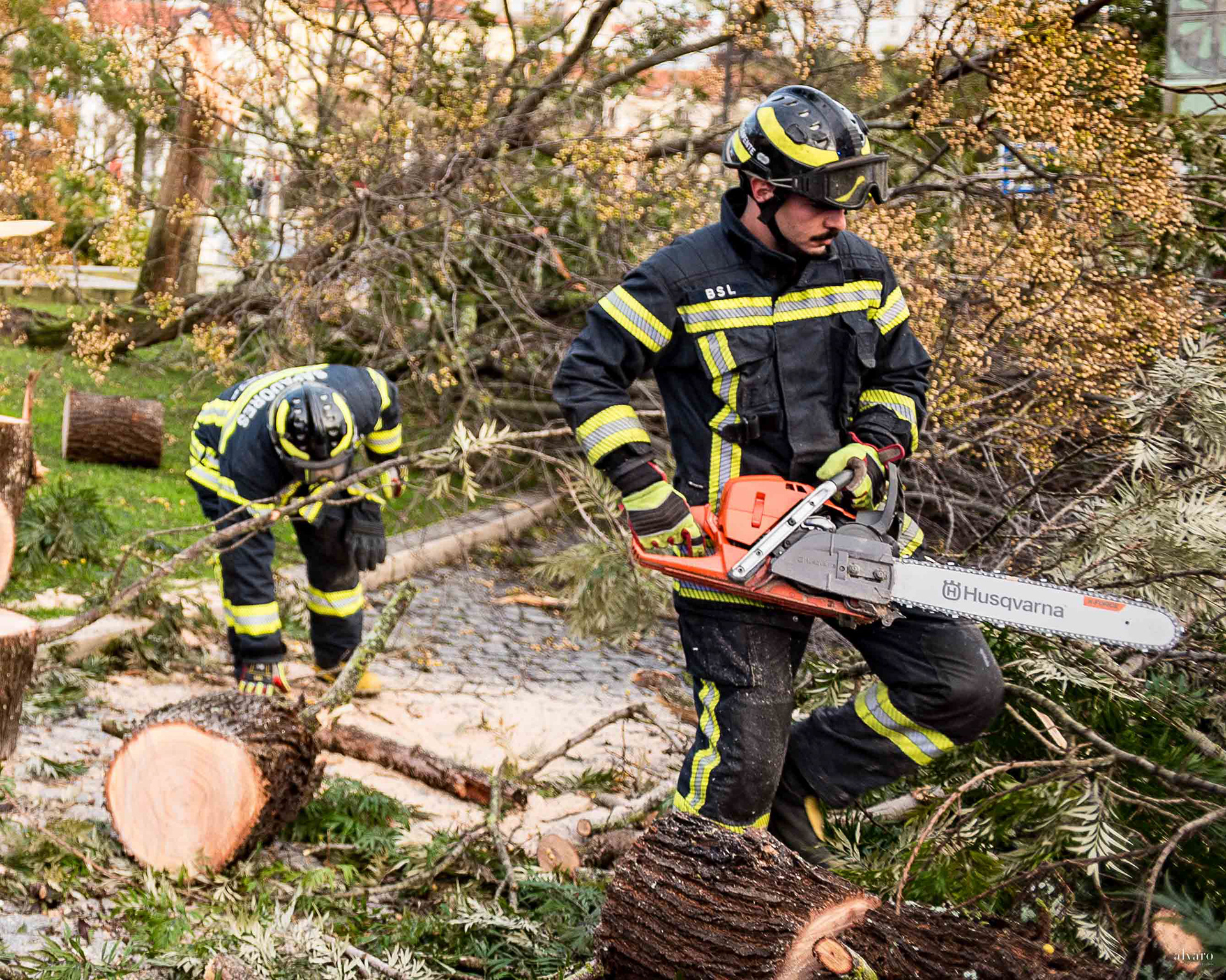 Dia 1 primeiras horas
