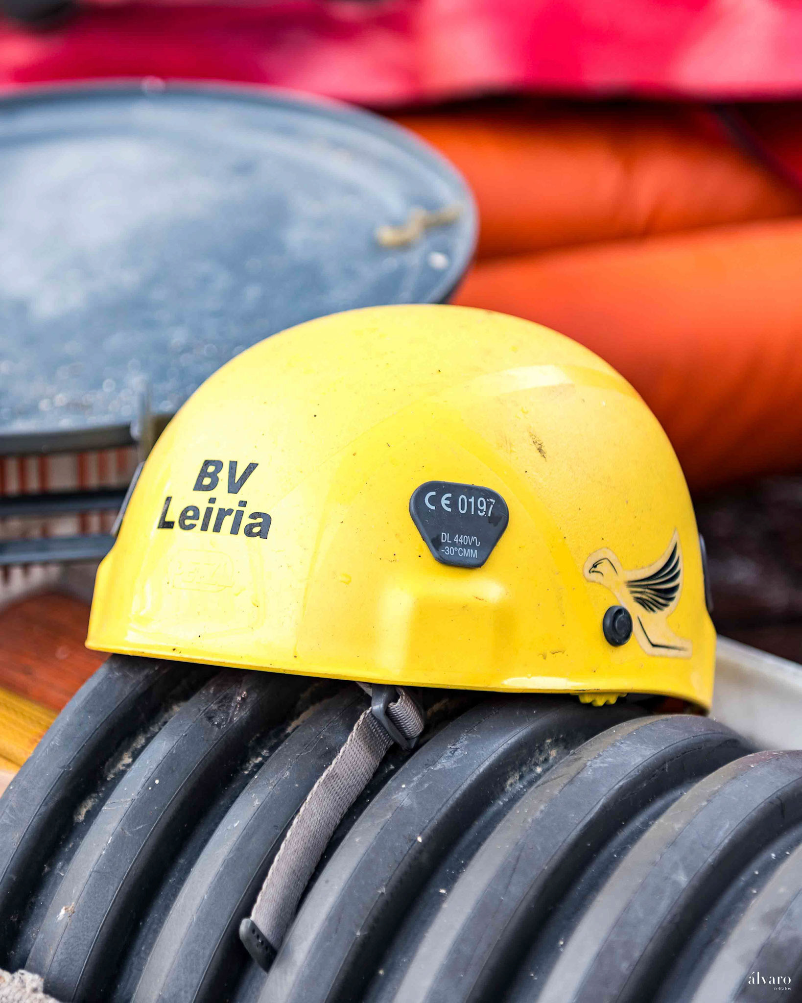 BV Leiria precisam ajuda