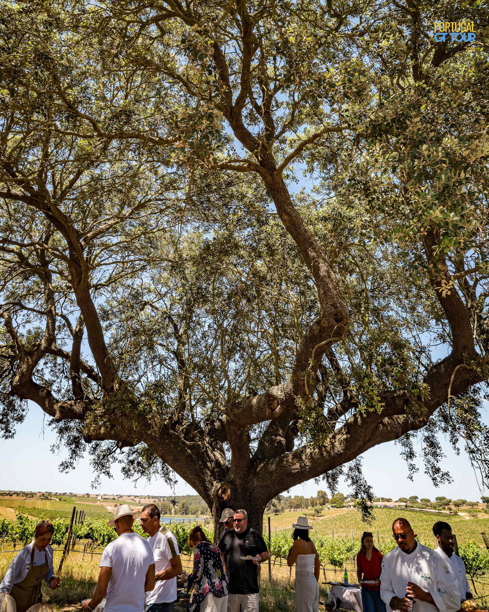 Herdade Malhadinha Nova