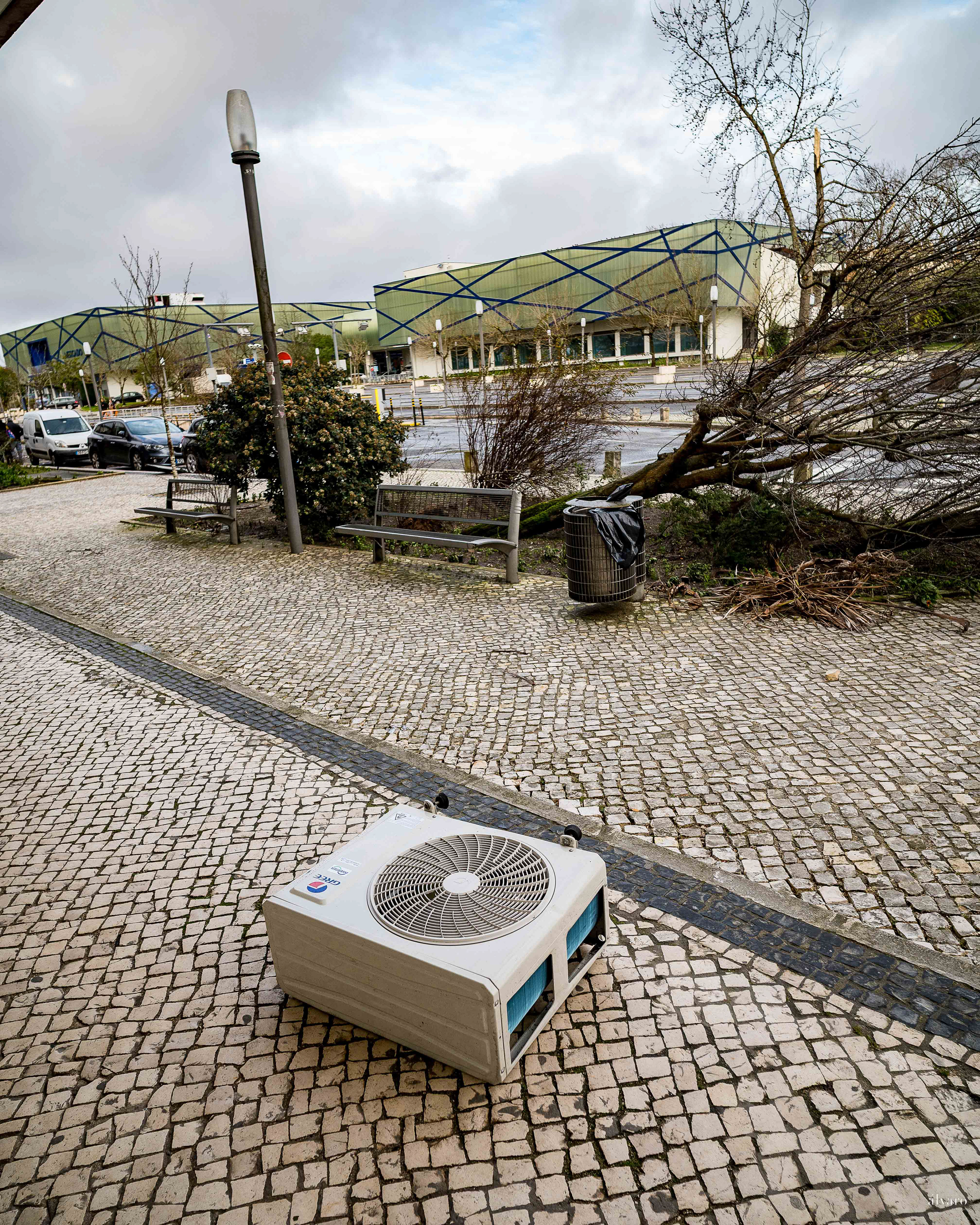 Dia 1 primeiras horas