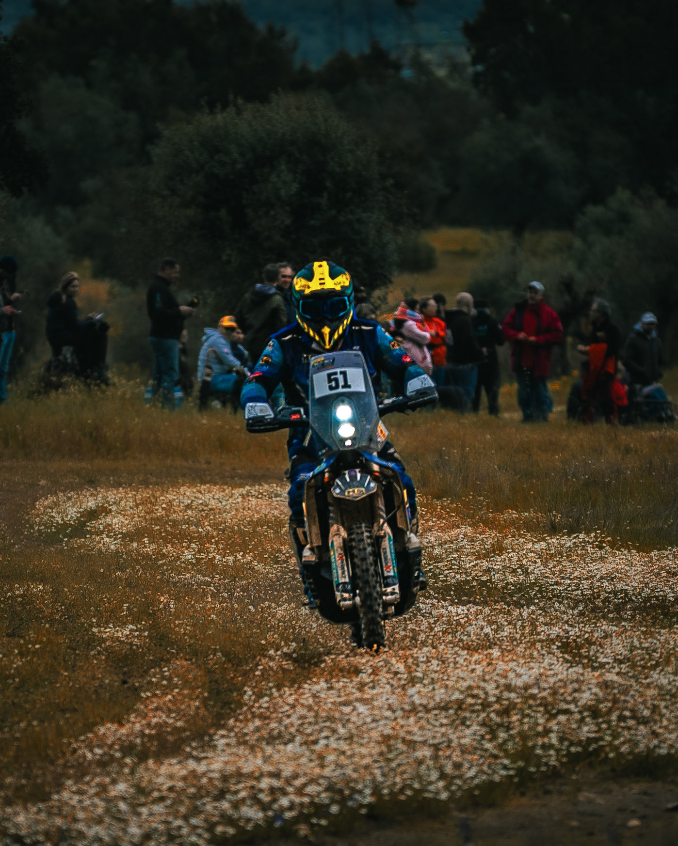 © Copyright uso não autorizado