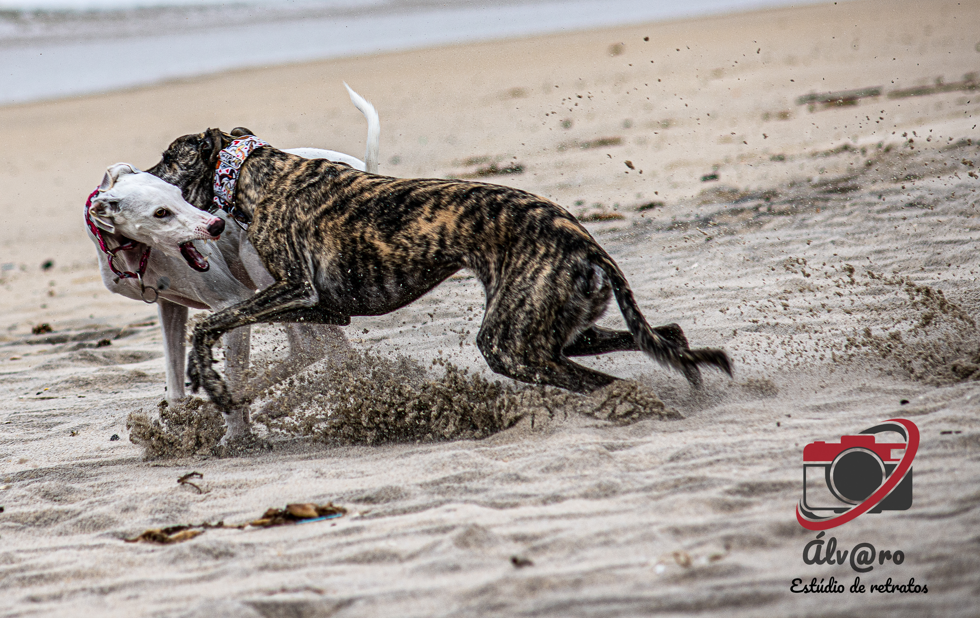 Playing on the beach
