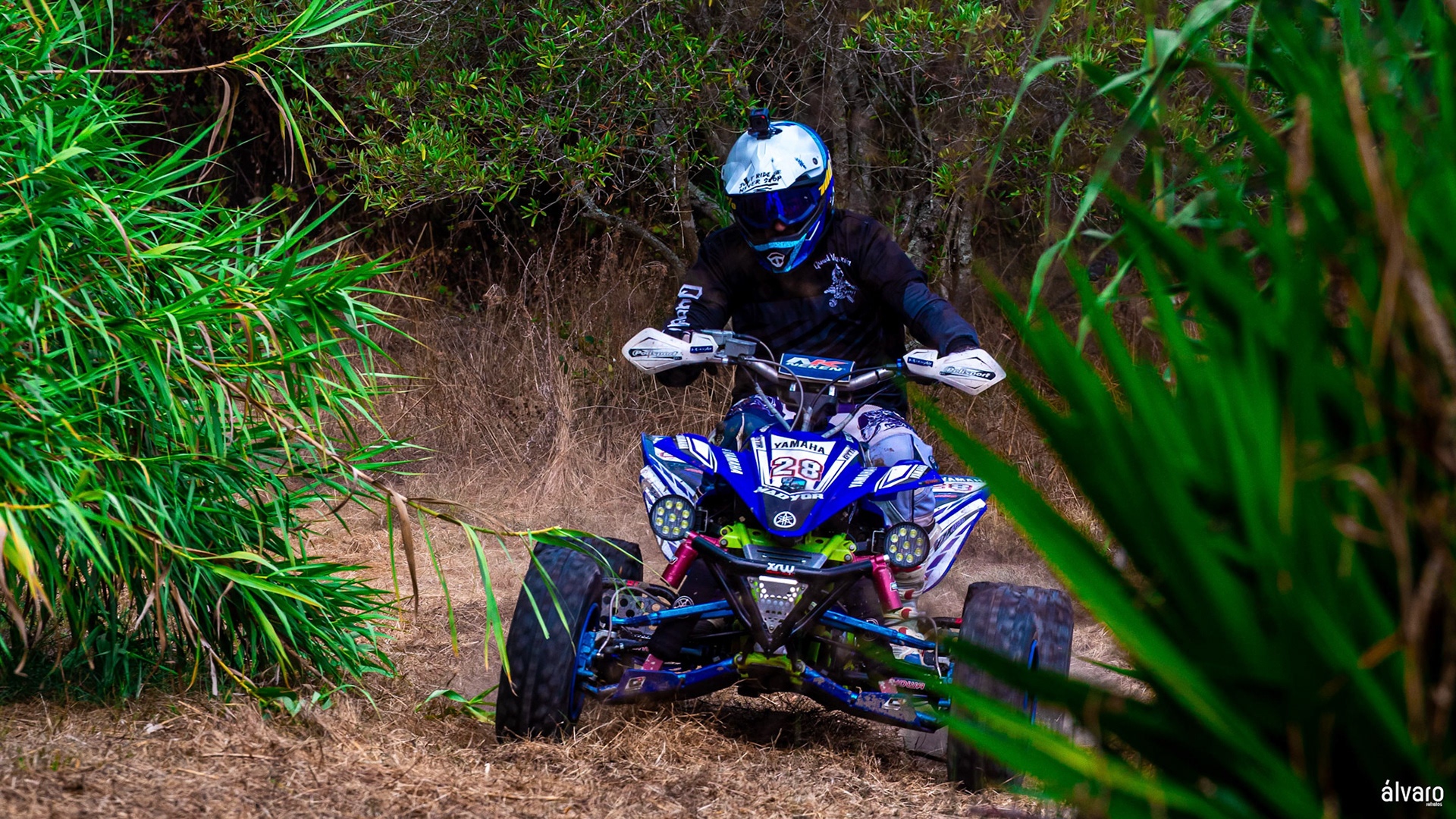 © Copyright uso não autorizado