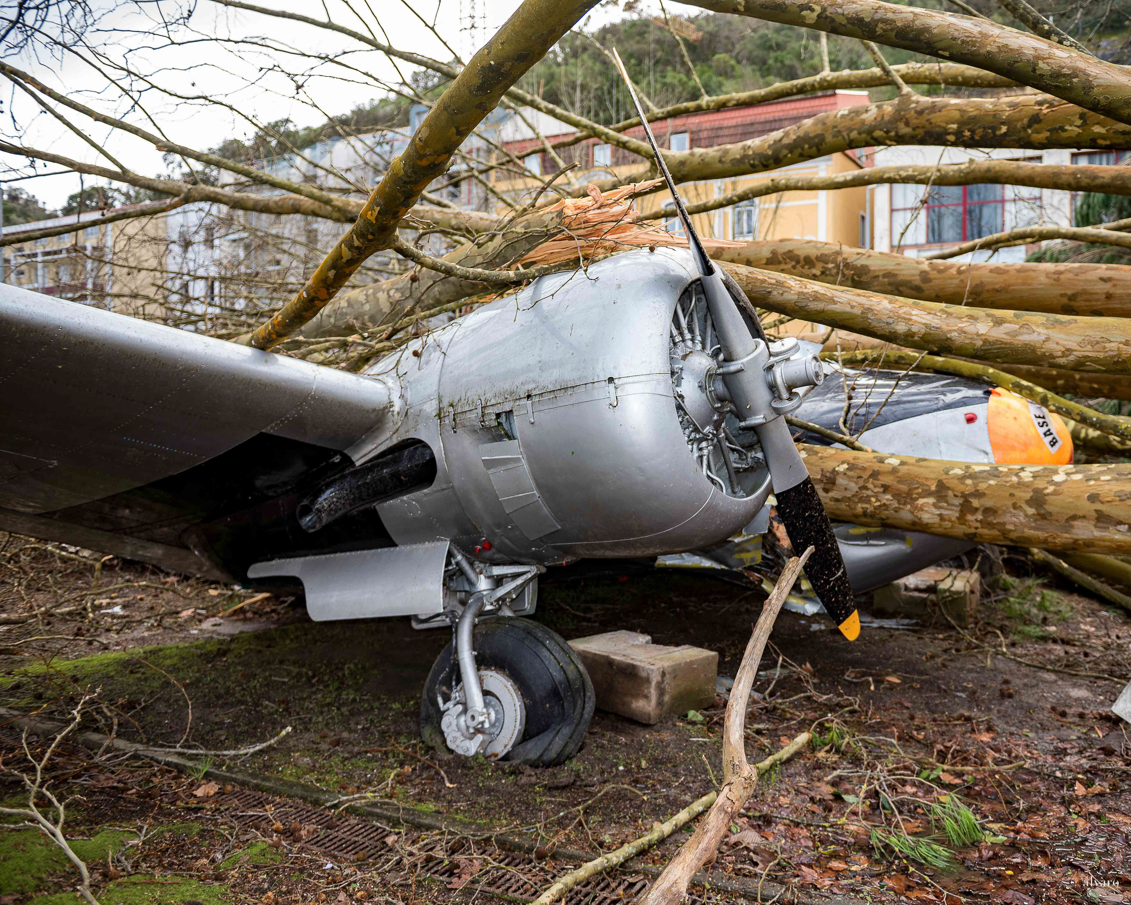 Dia 1 primeiras horas