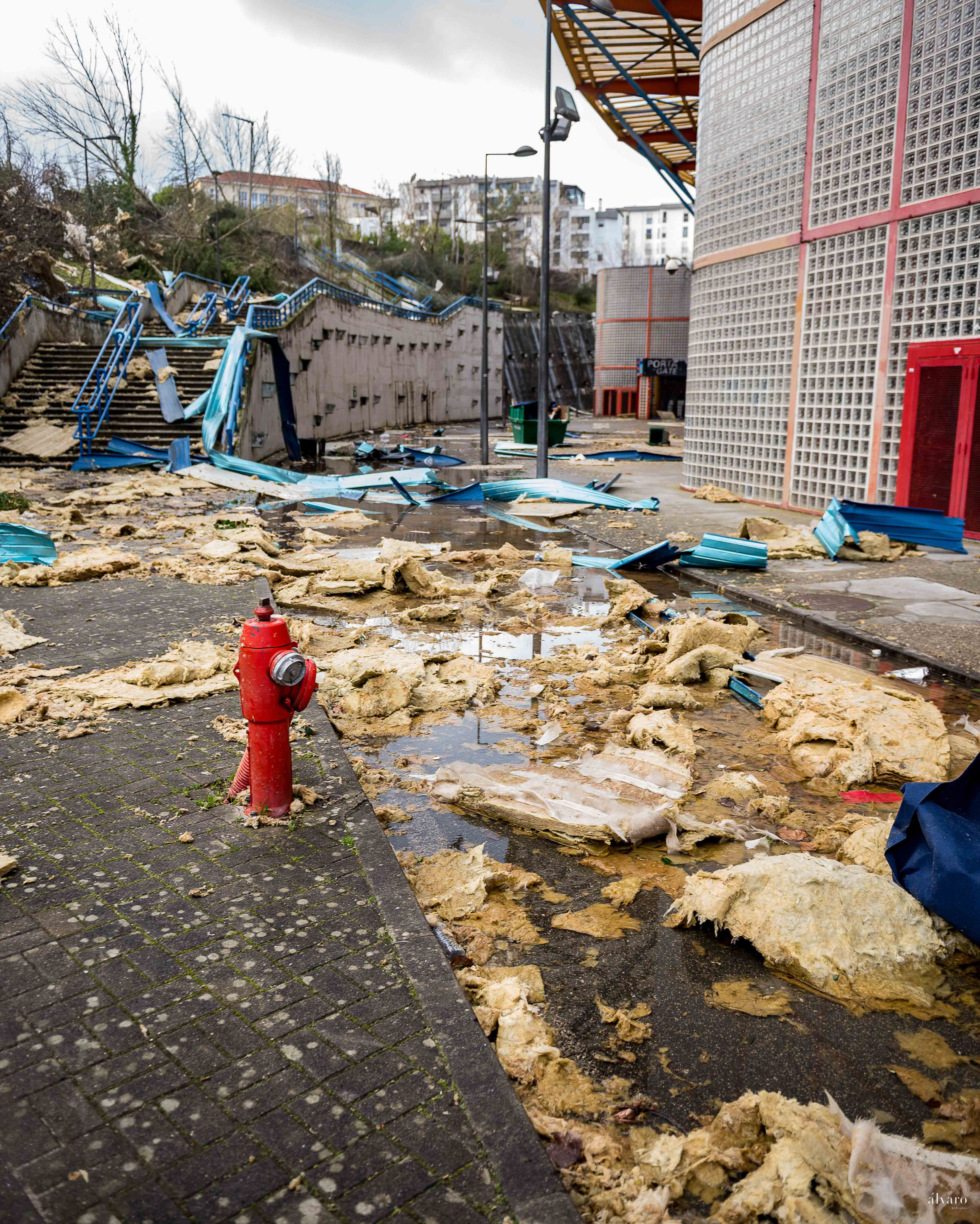 Dia 1 primeiras horas