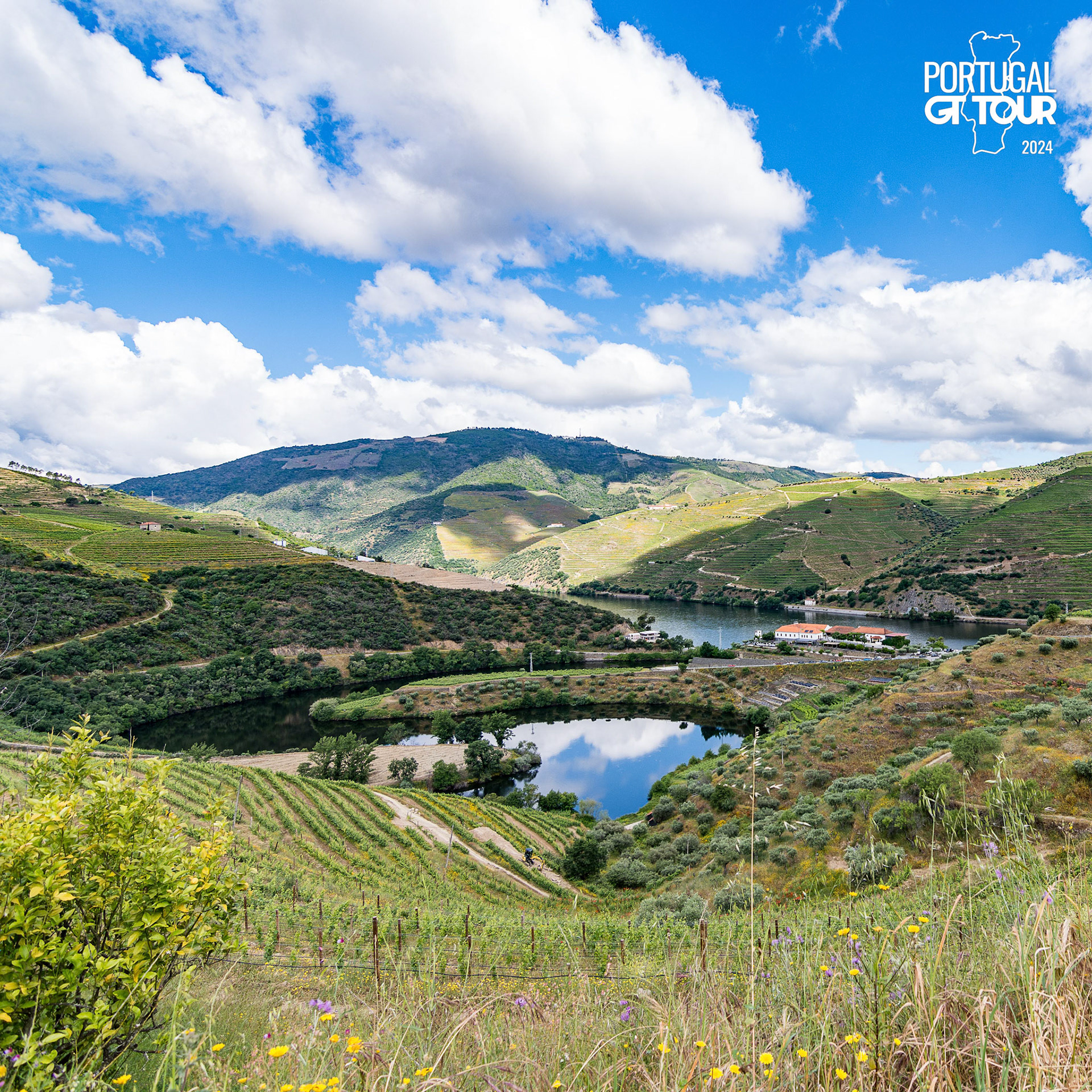 © Copyright uso não autorizado