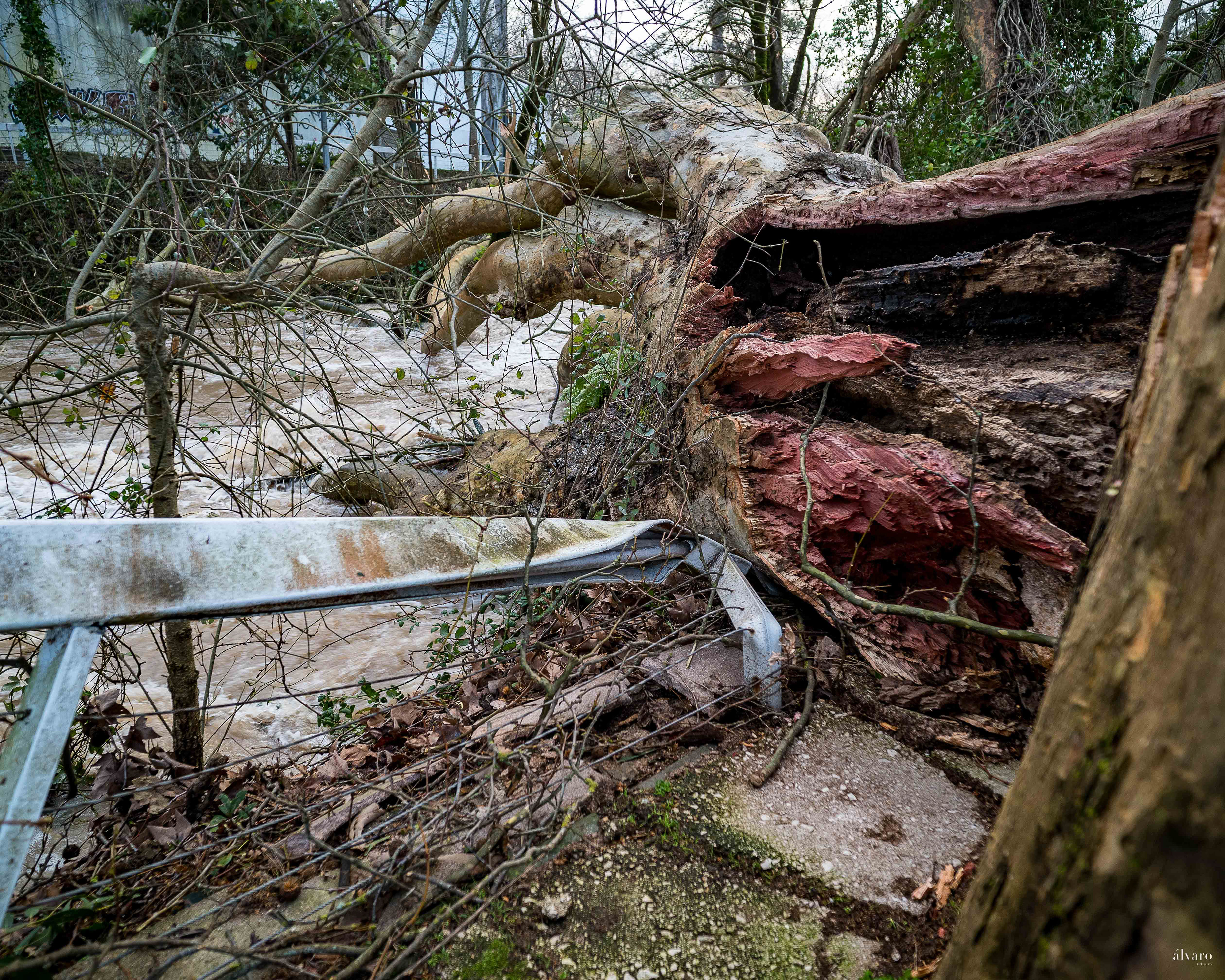 Dia 1 primeiras horas