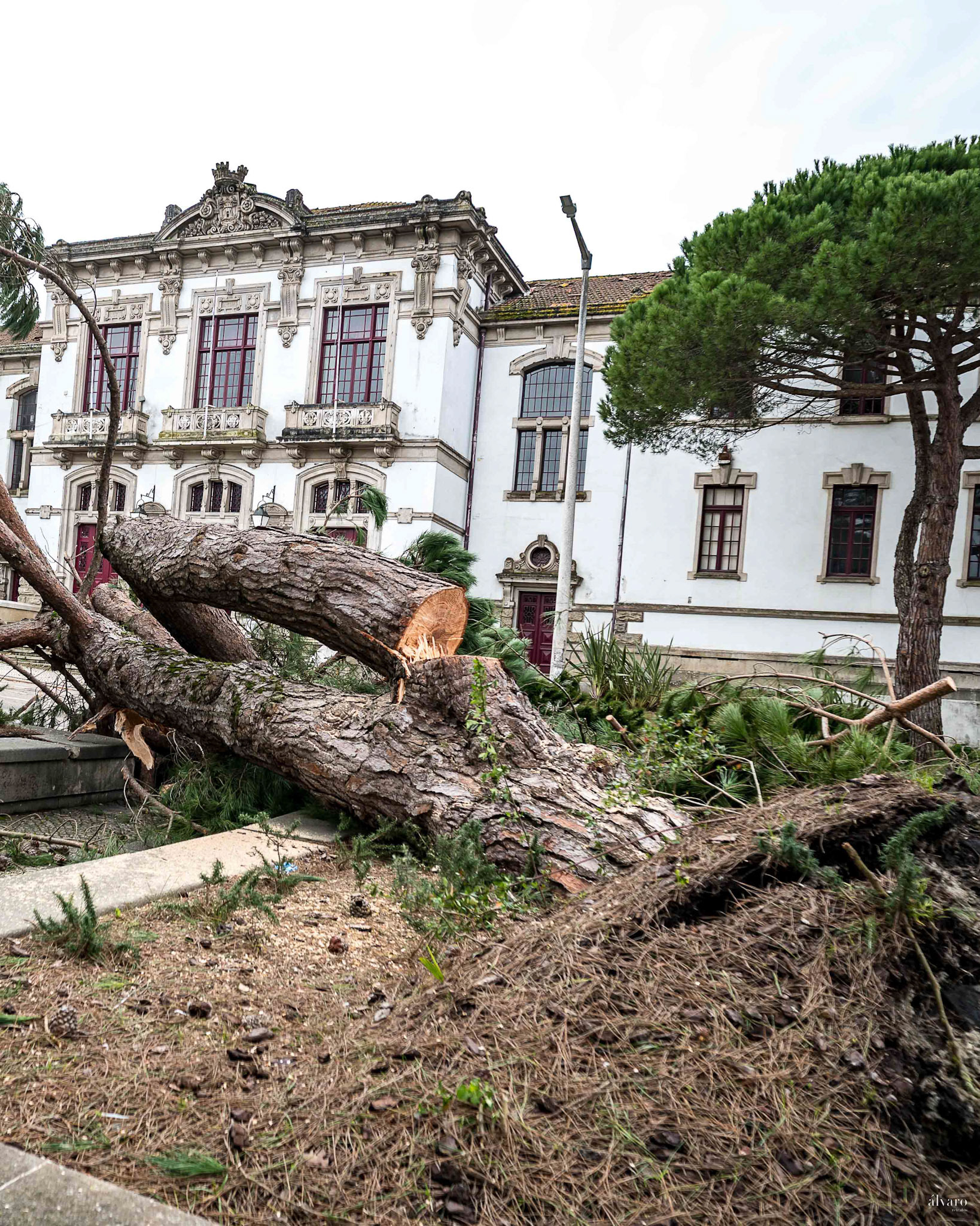 Dia 1 primeiras horas