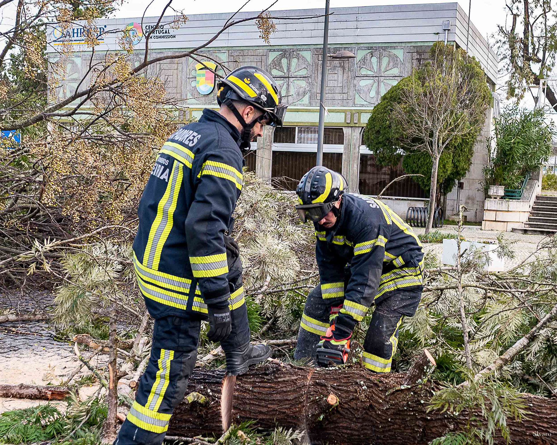 Dia 1 primeiras horas