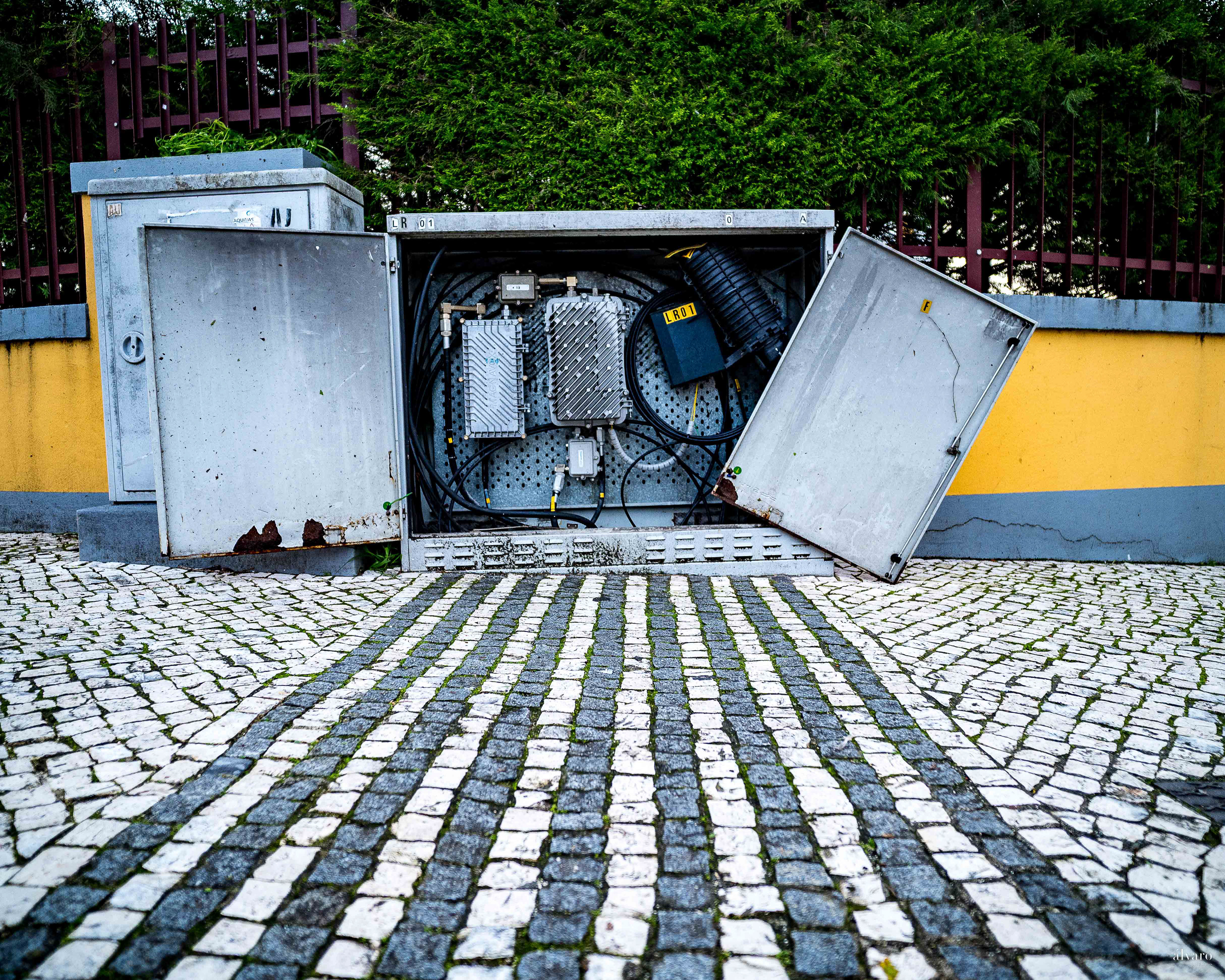 Dia 1 primeiras horas