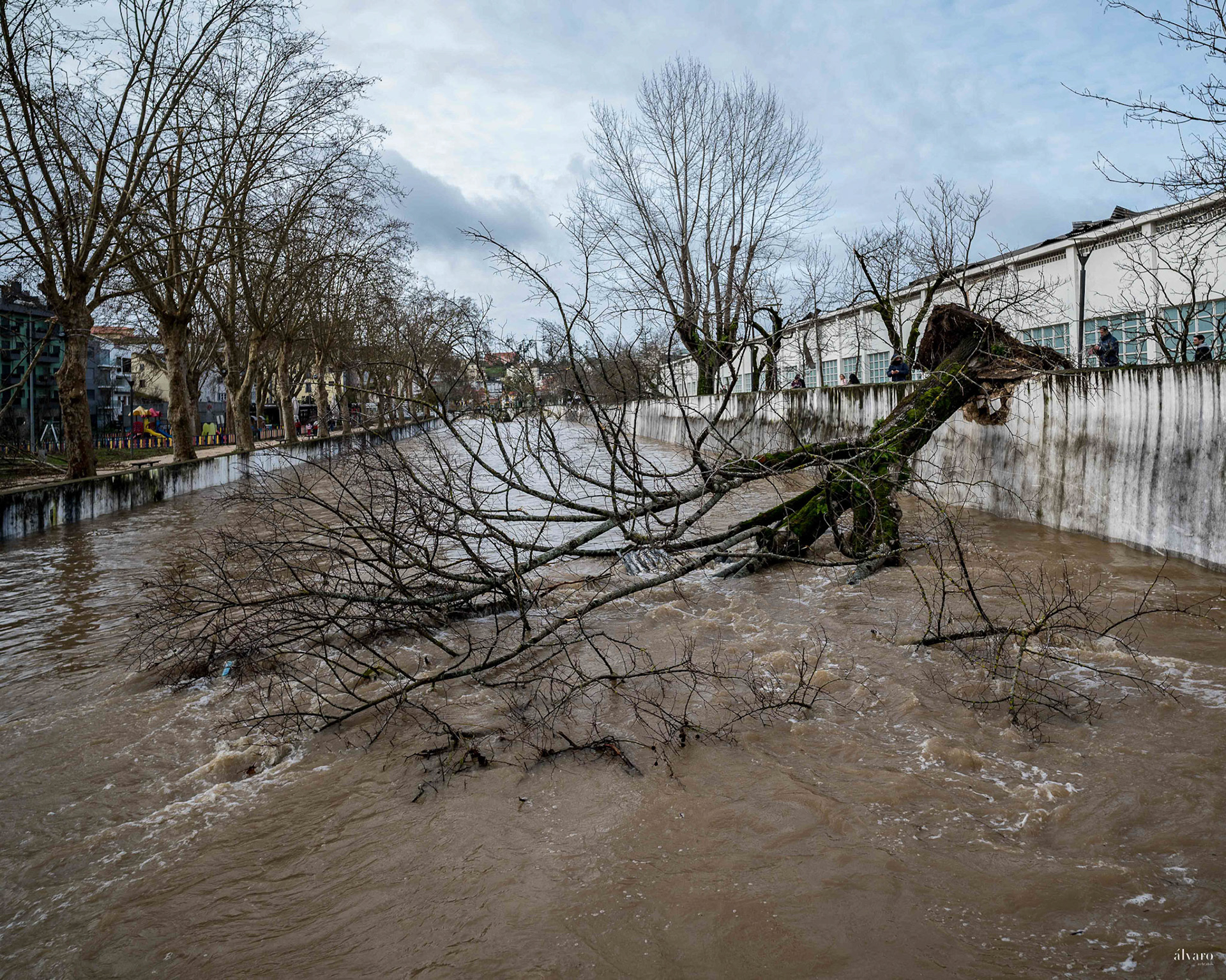 Dia 1 primeiras horas