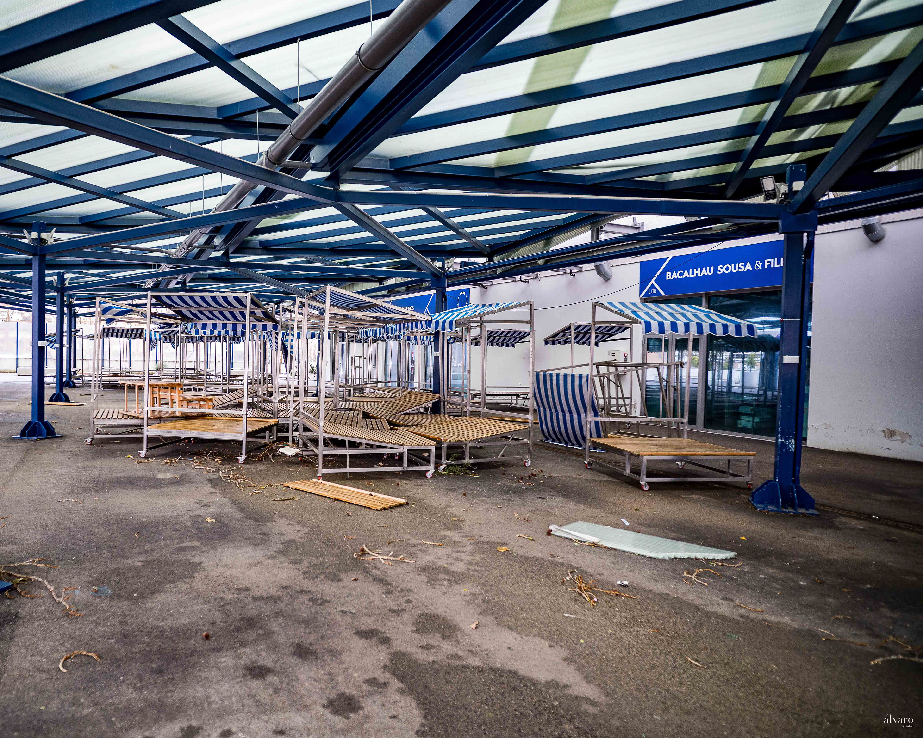 Dia 1 primeiras horas