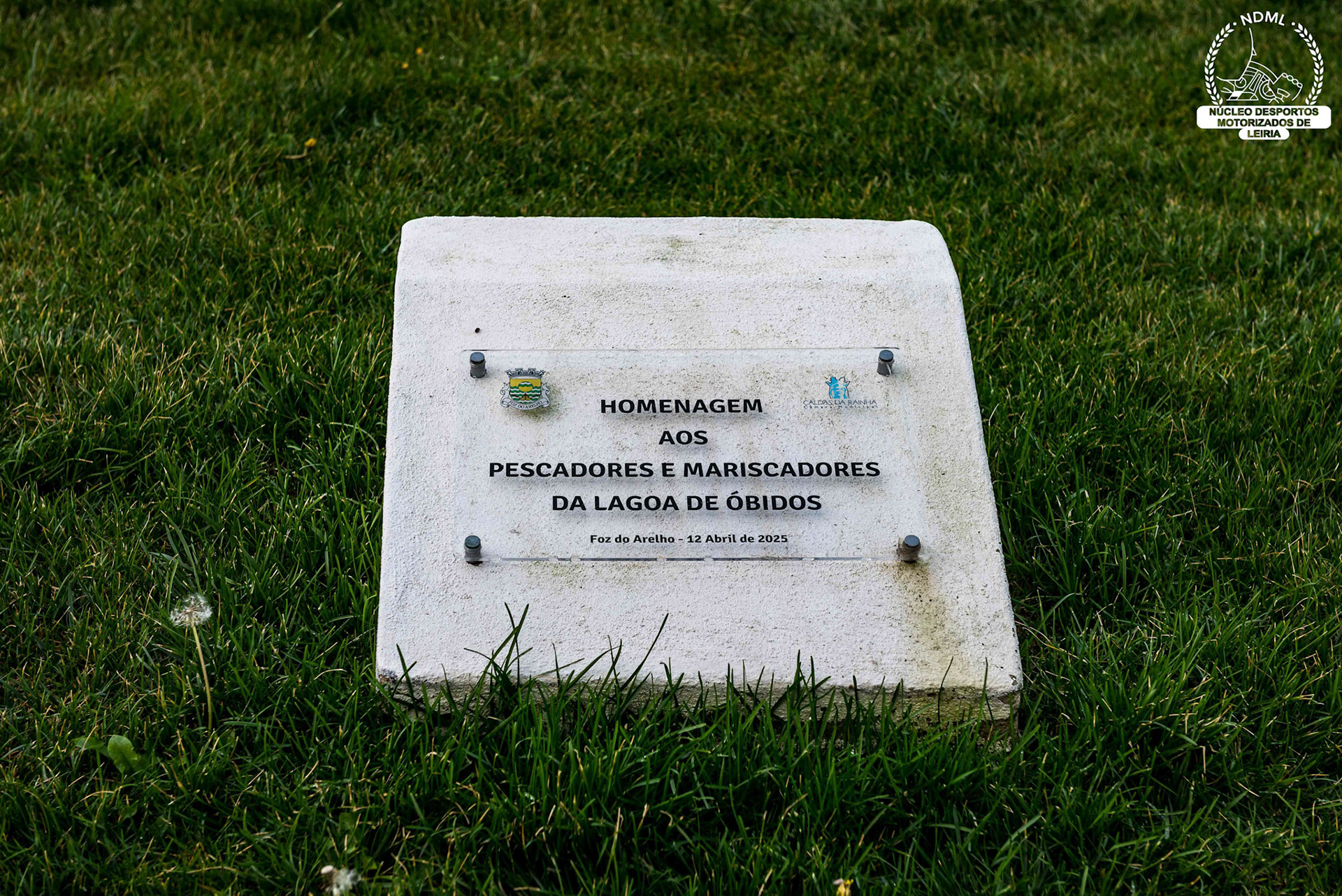 © Copyright uso não autorizado