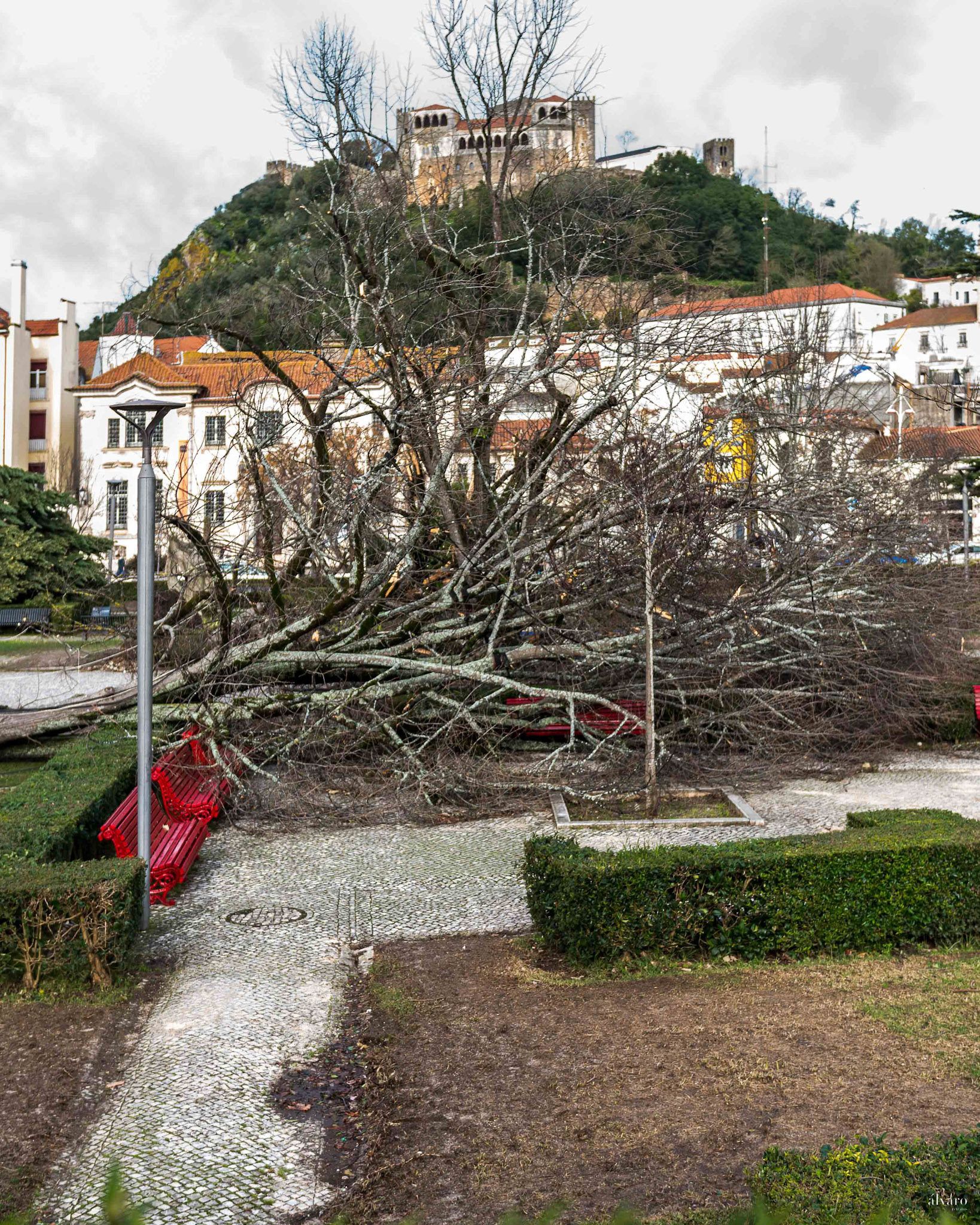 Dia 1 primeiras horas
